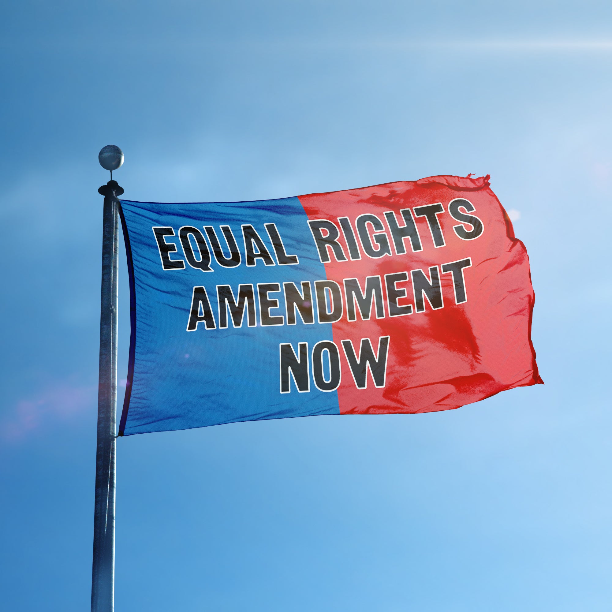 Equal Rights Amendment Now Flag