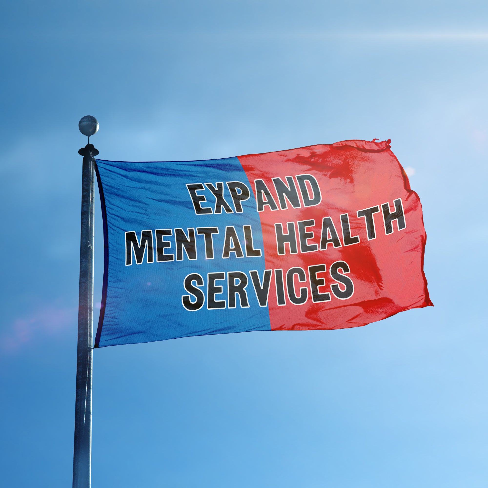 Expand Mental Health Services Flag