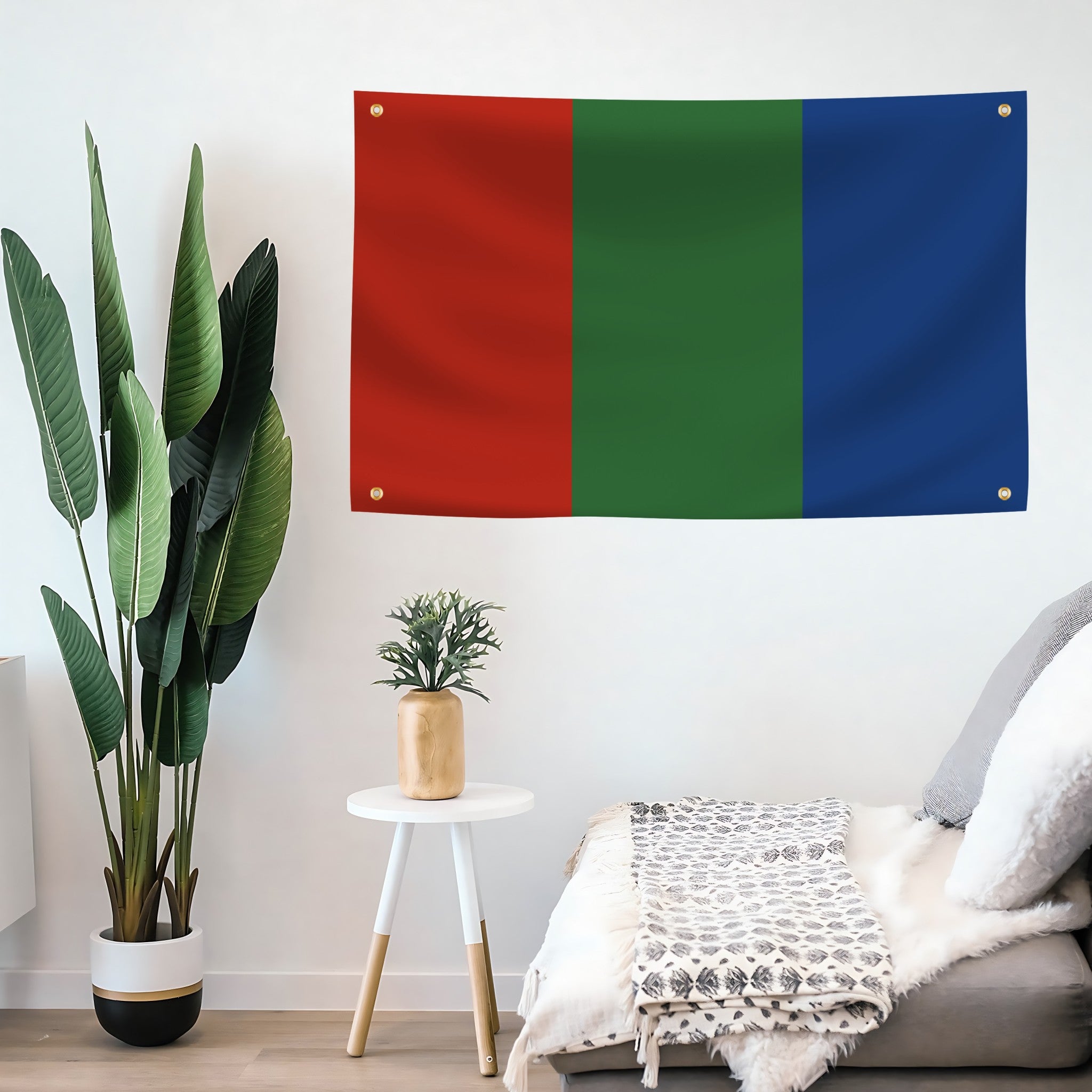 Red green and blue flag of mars on a wall with a plant and small table in a room.