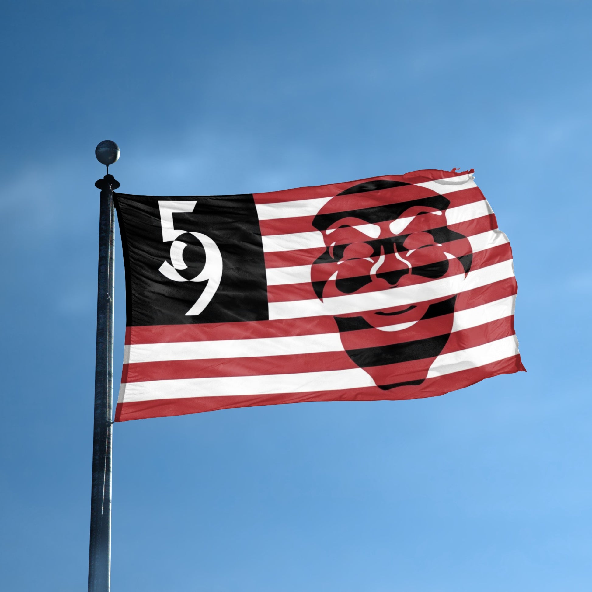 Mr. Robot Fsociety 5/9 Flag with a stylized face and on a blue sky background