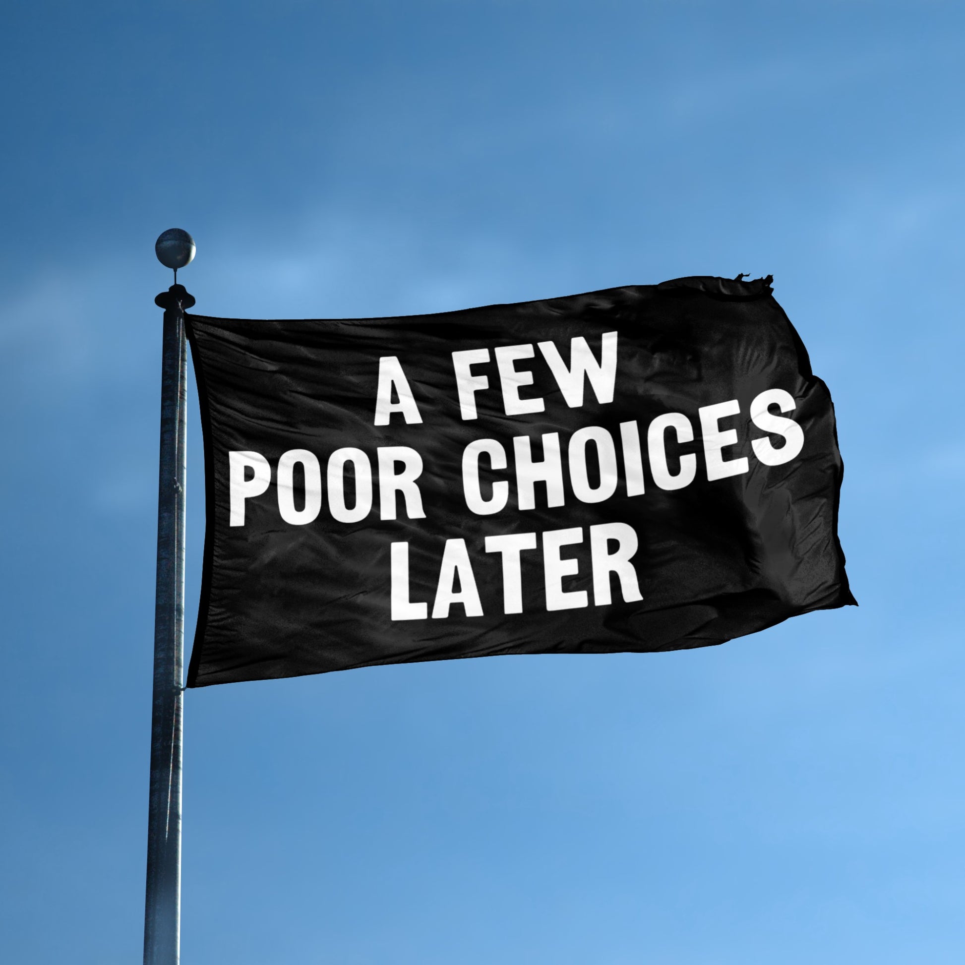 A Few Poor Choices Later flag displayed outdoors – weatherproof house banner on pole | Bannerfi