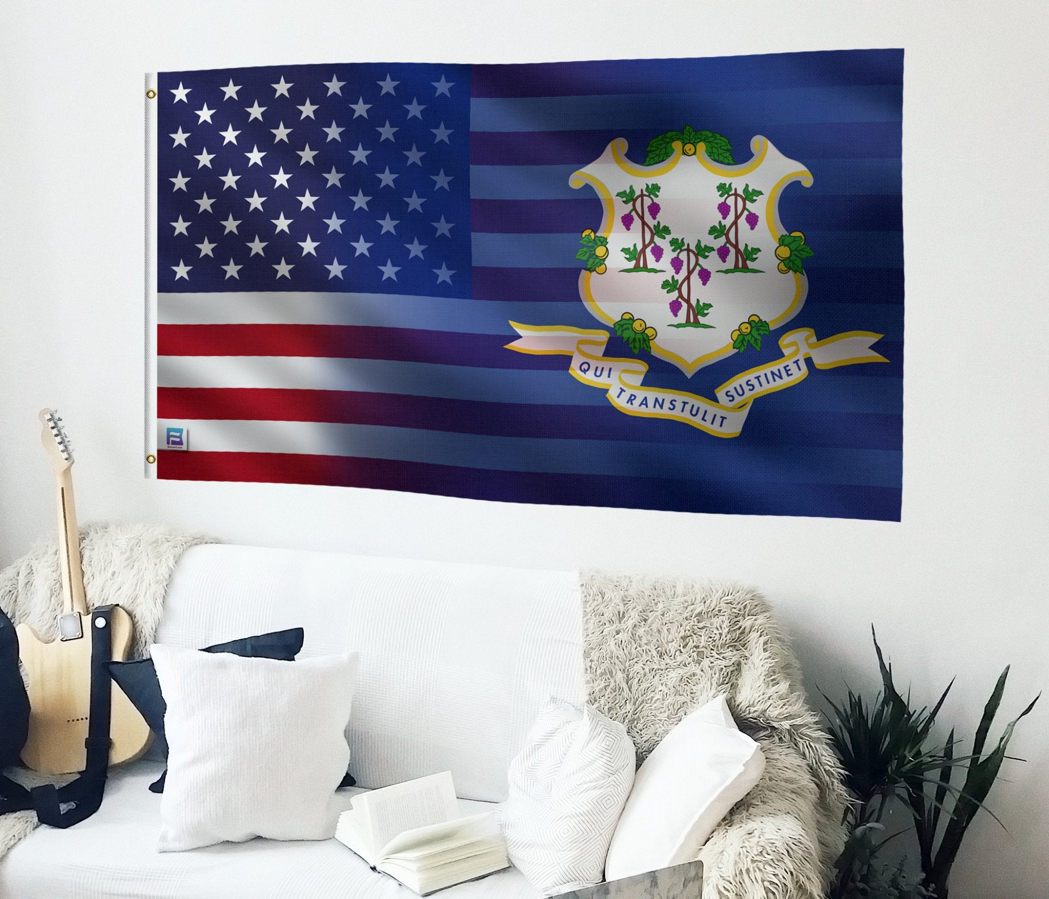 a living room with a guitar and a flag on the wall