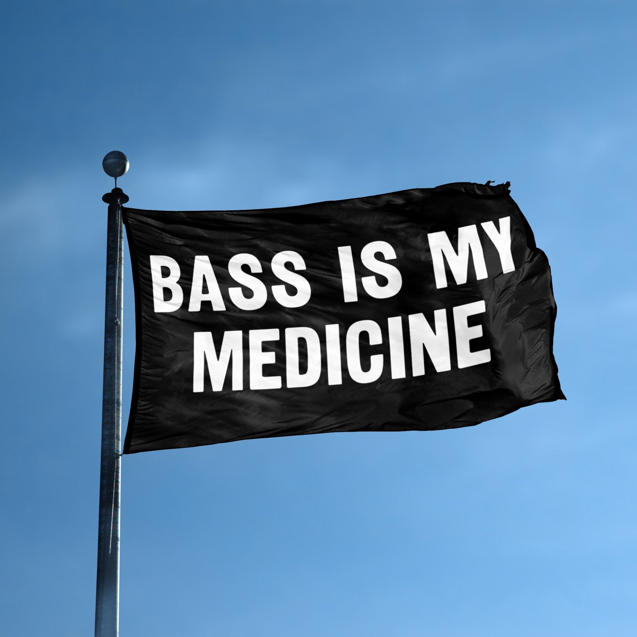 Bass Is My Medicine flag displayed outdoors – weatherproof house banner on pole | Bannerfi