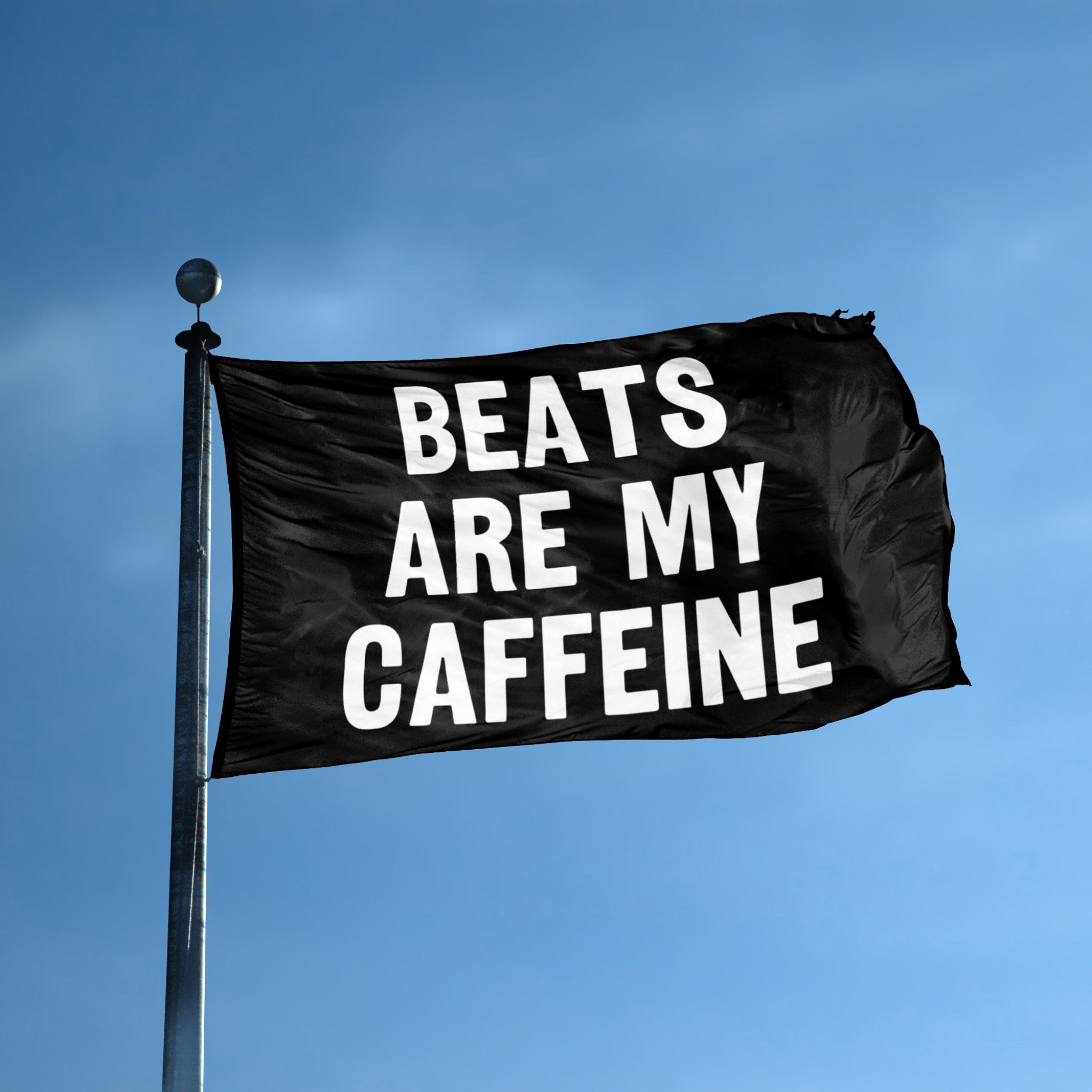 Beats Are My Caffeine flag displayed outdoors – weatherproof house banner on pole | Bannerfi