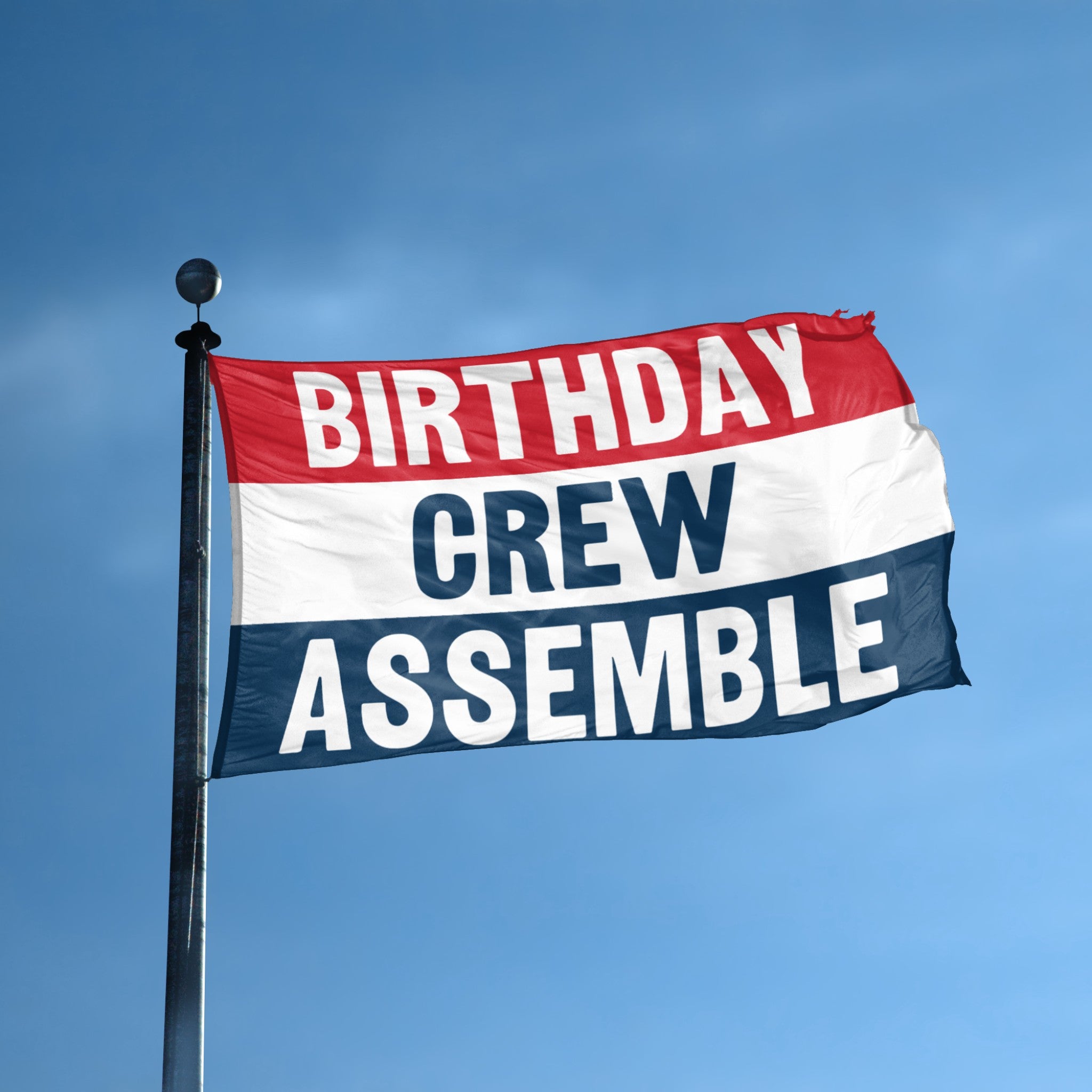 Birthday Crew Assemble flag displayed outdoors – weatherproof house banner on pole | Bannerfi