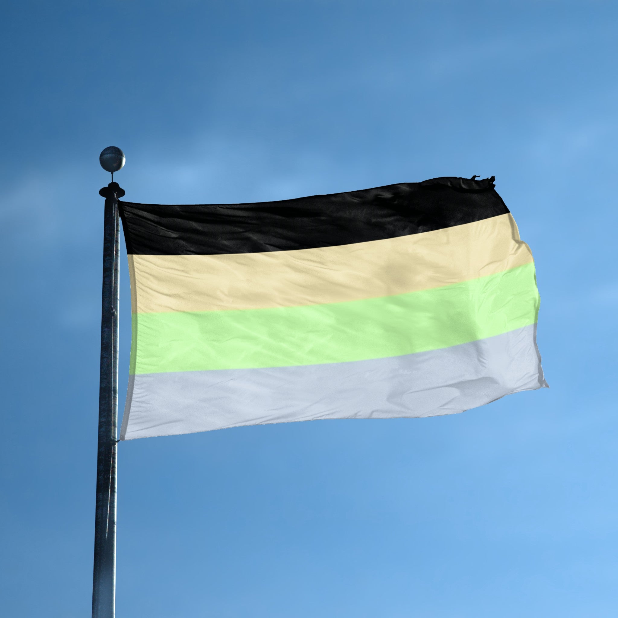 Cassgender Pride flag displayed outdoors – weatherproof house banner on pole | Bannerfi