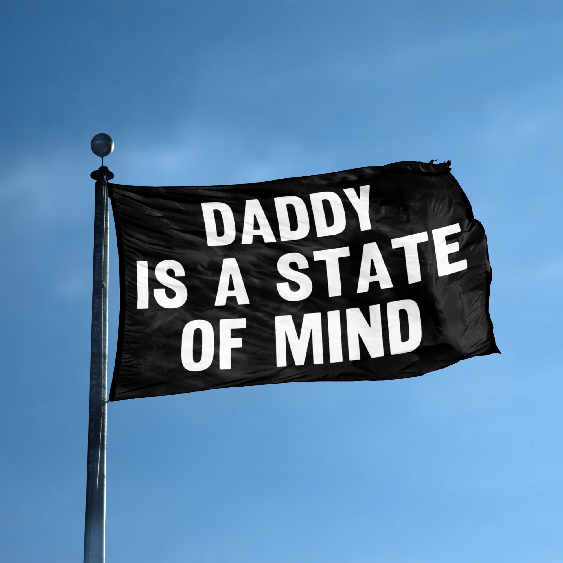 Daddy Is A State Of Mind flag displayed outdoors – weatherproof house banner on pole | Bannerfi