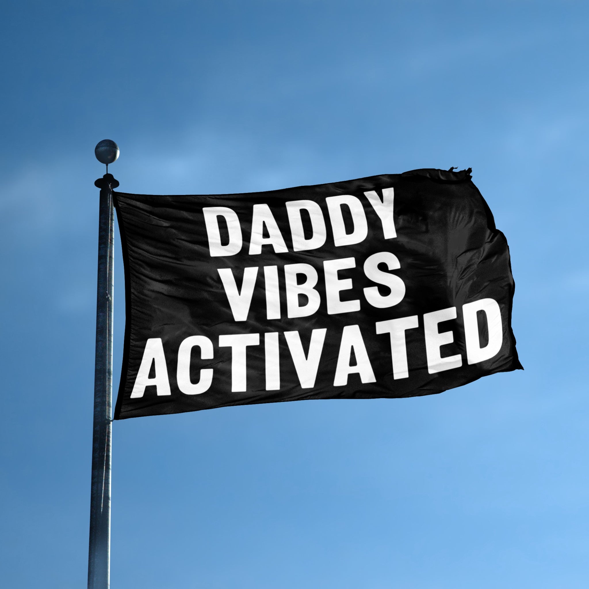 Daddy Vibes Activated flag displayed outdoors – weatherproof house banner on pole | Bannerfi