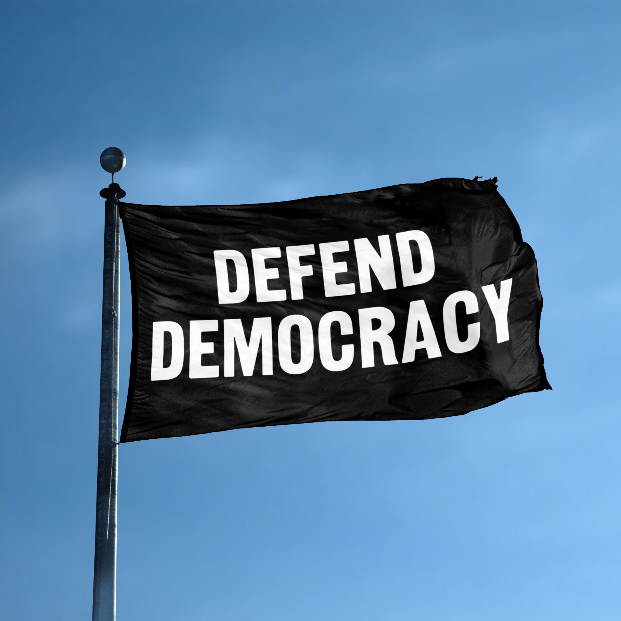 Defend Democracy flag displayed outdoors – weatherproof house banner on pole | Bannerfi