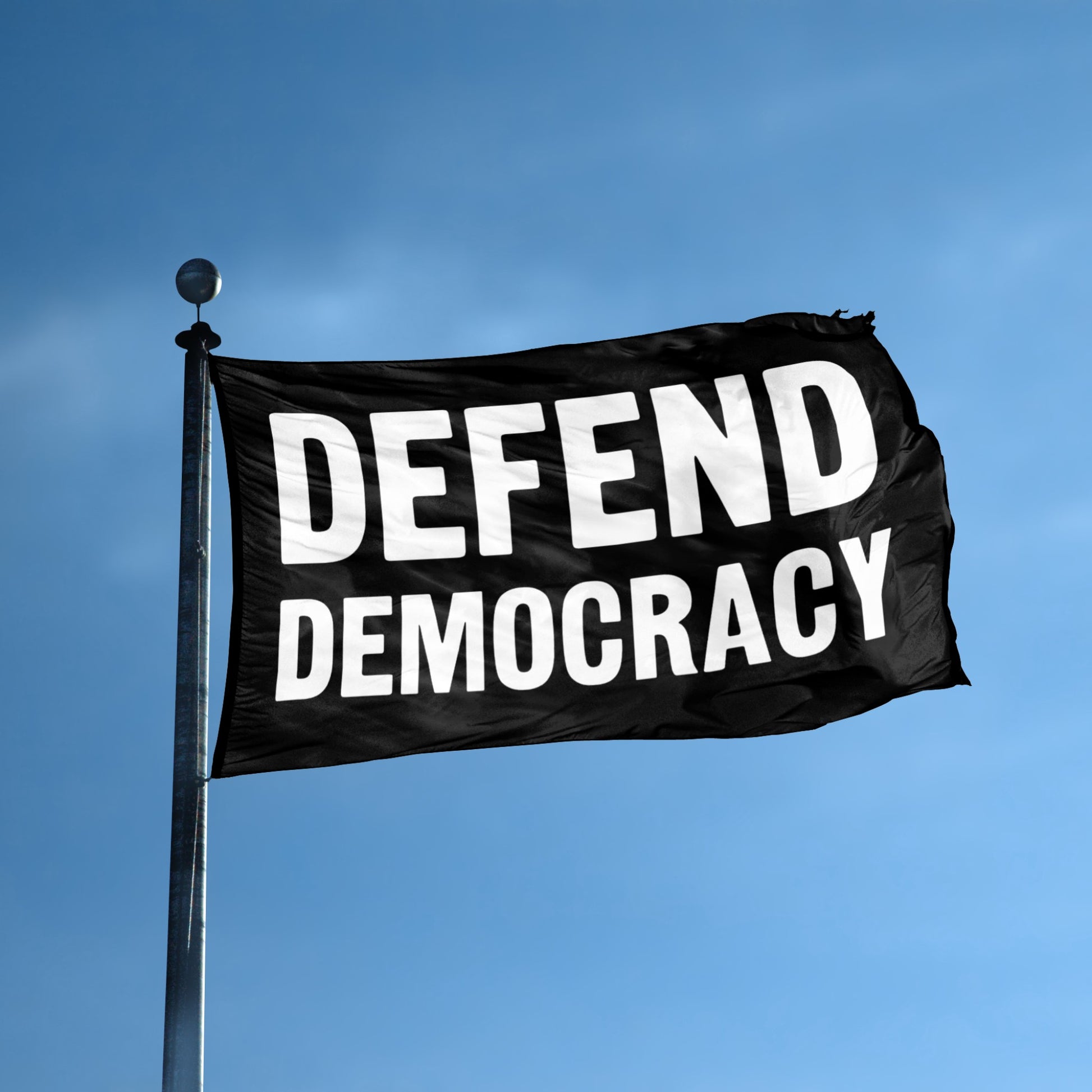 Black flag with 'DEFEND DEMOCRACY' text against a blue sky