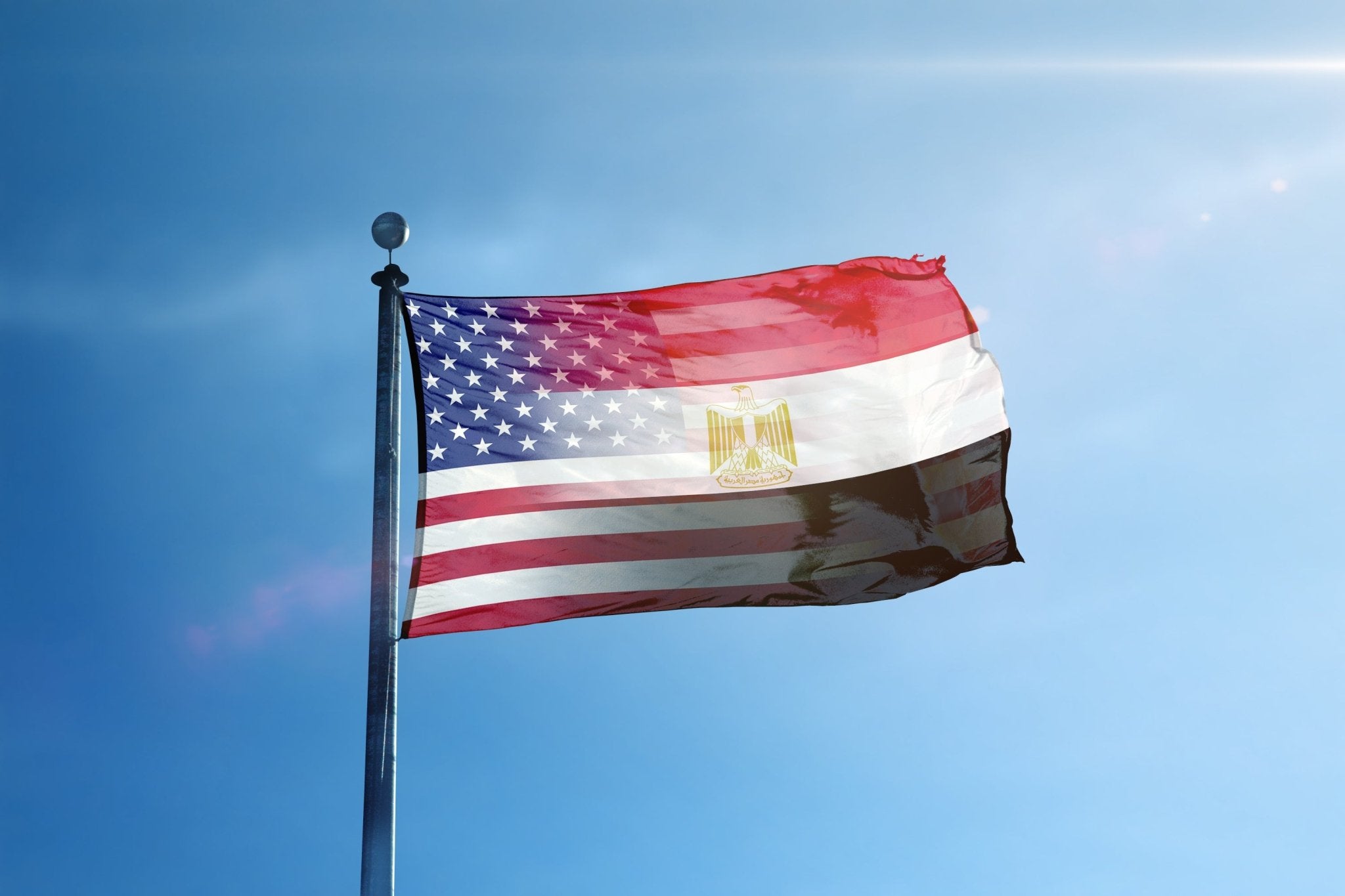 Egyptian American Hybrid Flag