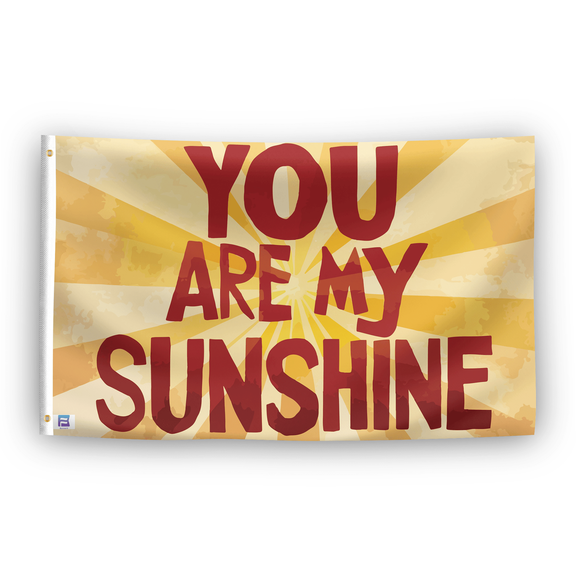 A flag with the saying "You Are My Sunshine", with a special occasion color scheme.