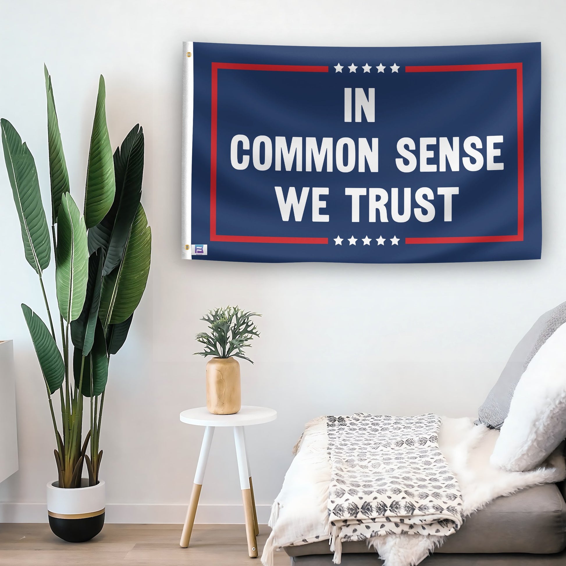 In a home setting, a flag with the saying "In Common Sense We Trust Political" is mounted on a white wall by a side table.