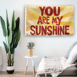 In a home setting, a flag with the saying "You Are My Sunshine" is mounted on a white wall by a side table.