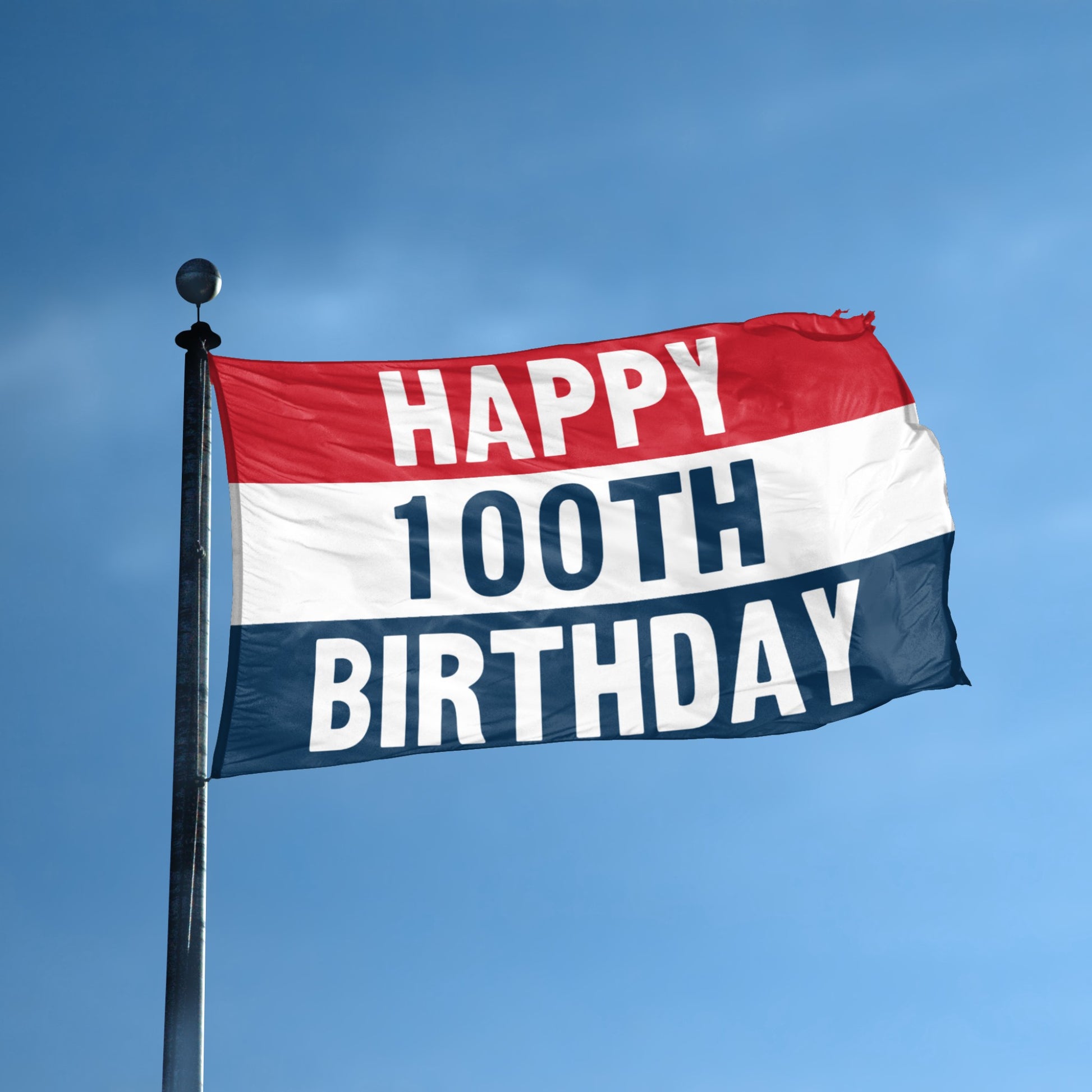 Happy 1st Birthday flag displayed outdoors – weatherproof house banner on pole | Bannerfi