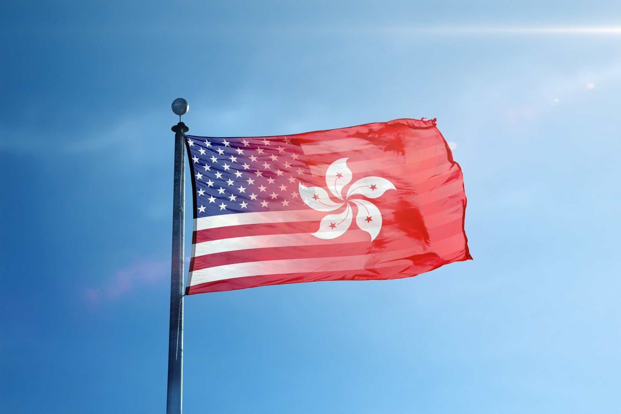 Hong Konger American Hybrid Flag