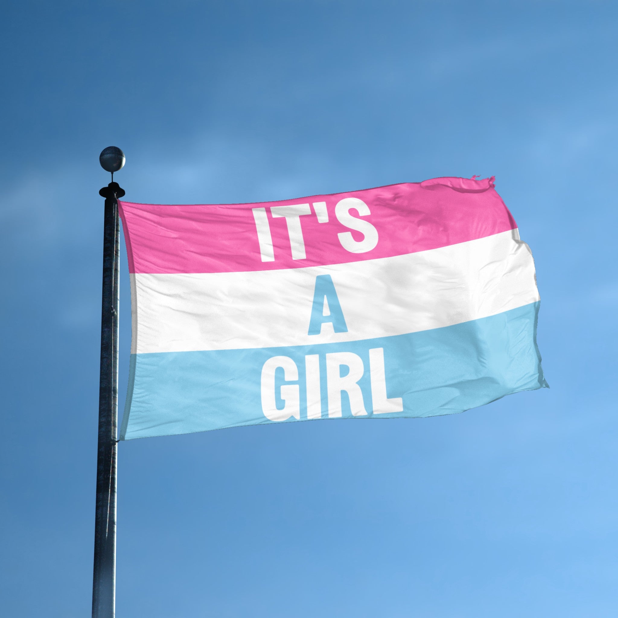 It's A Girl flag displayed outdoors – weatherproof house banner on pole | Bannerfi