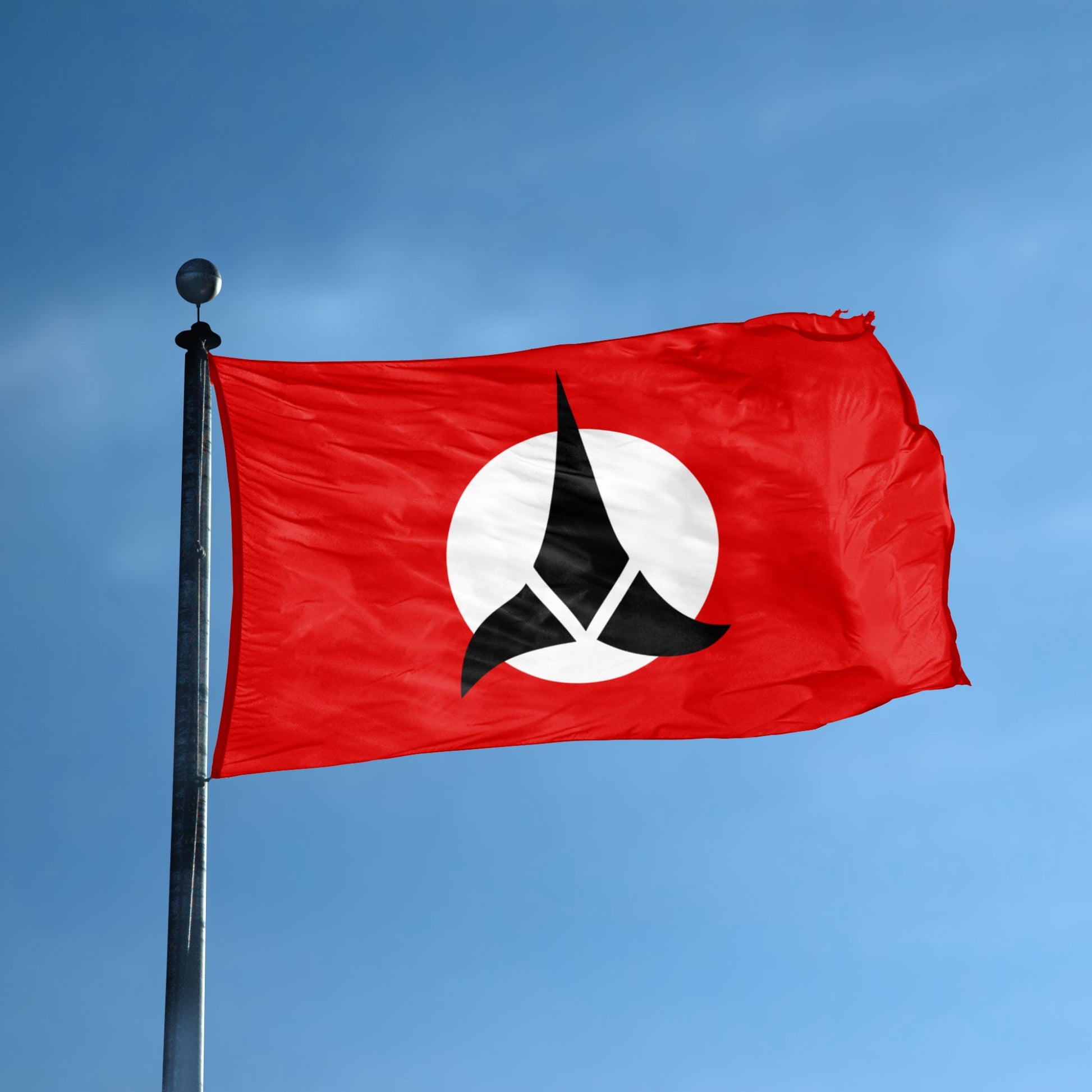 Star Trek Klingon flag with a black and white symbol on a red background flying on a pole
