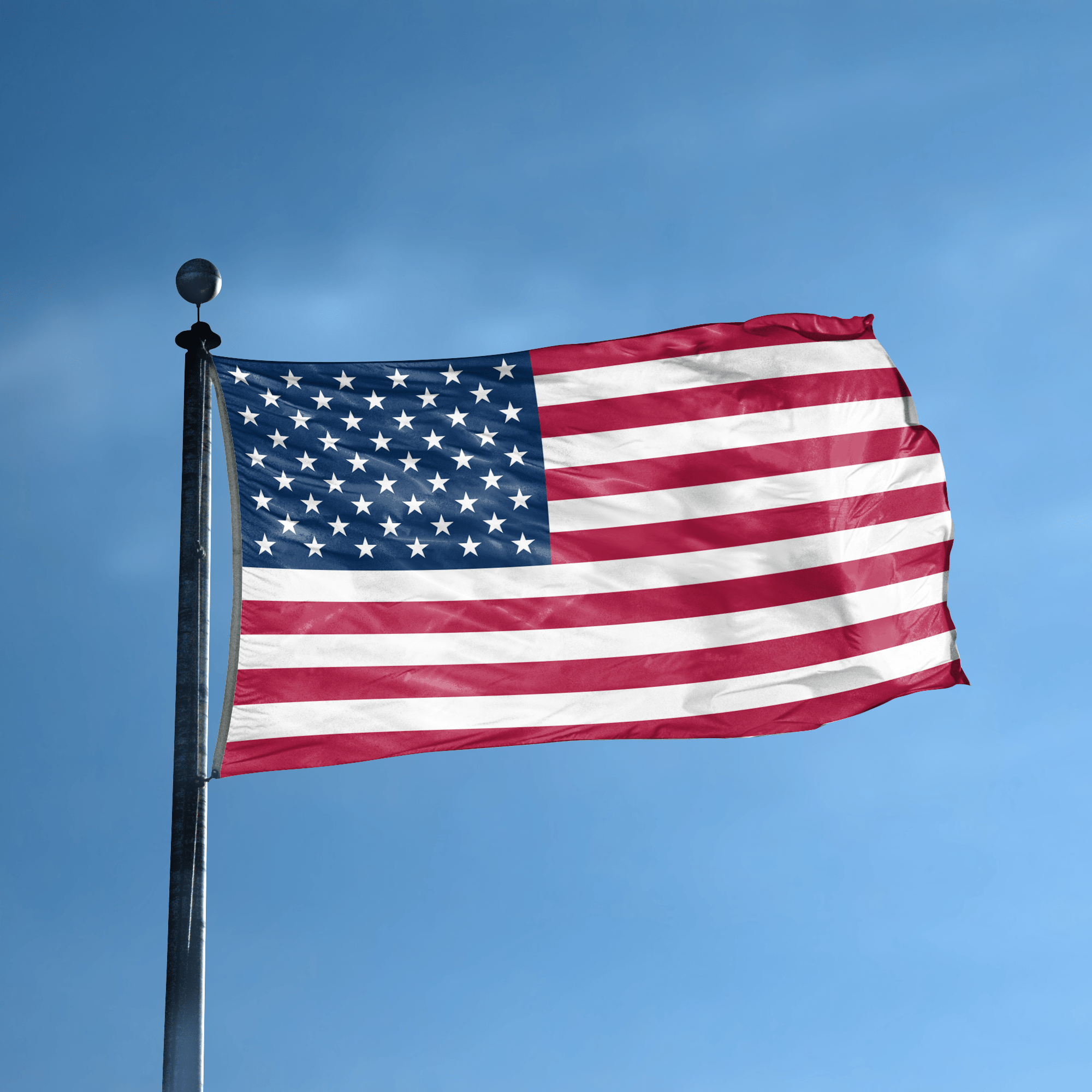 The American Flag