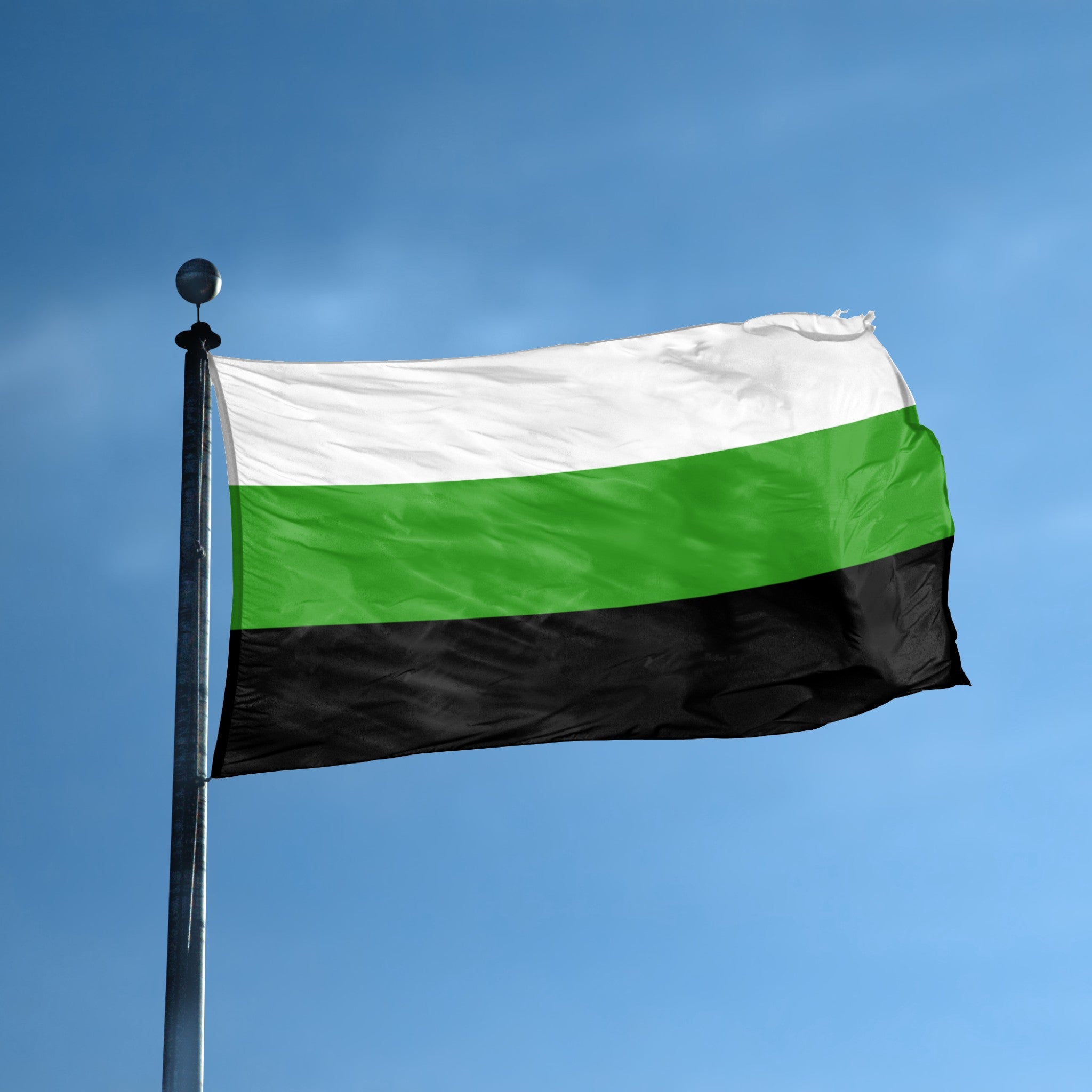 Neutrois Pride flag displayed outdoors – weatherproof house banner on pole | Bannerfi