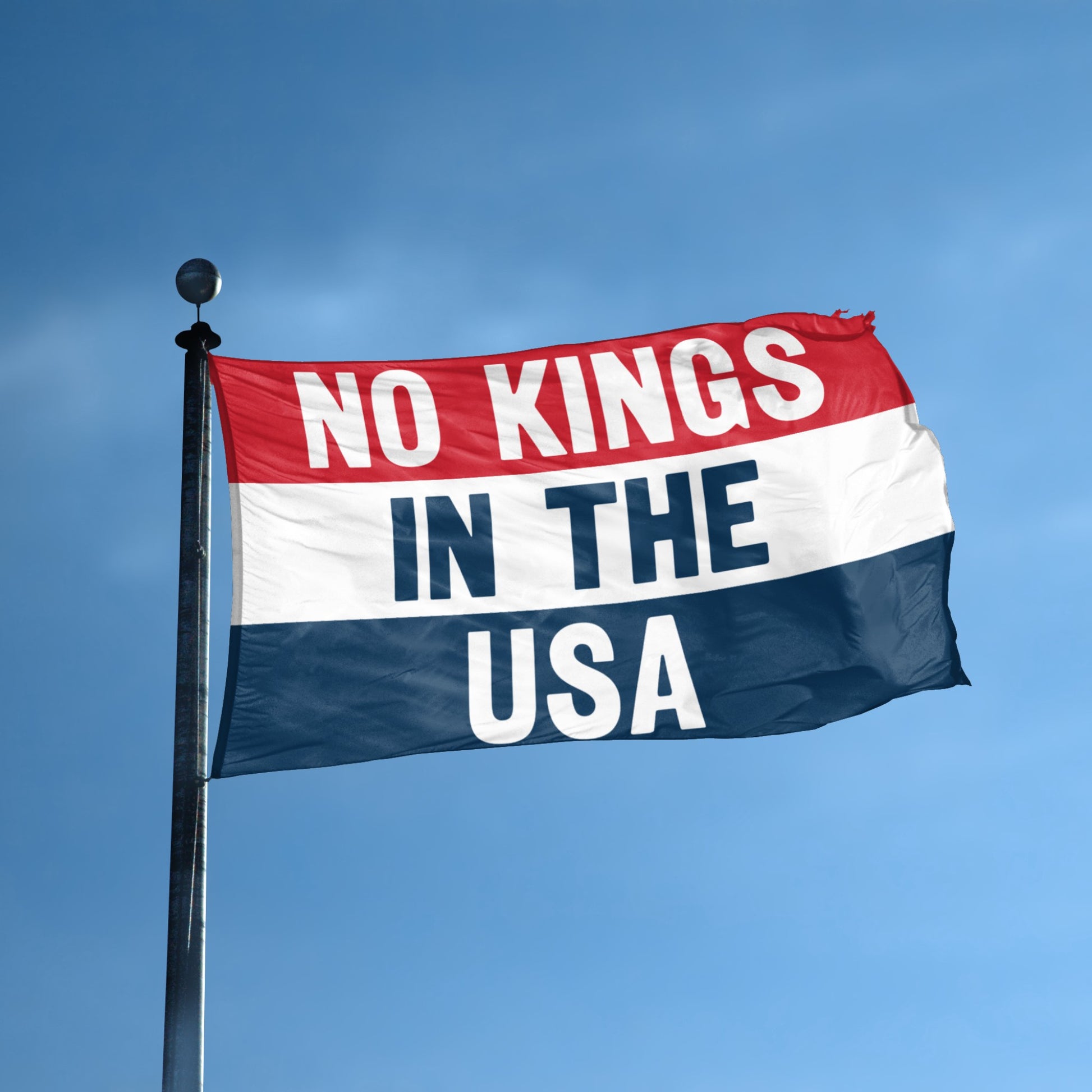 No Kings In The USA flag displayed outdoors – weatherproof house banner on pole | Bannerfi
