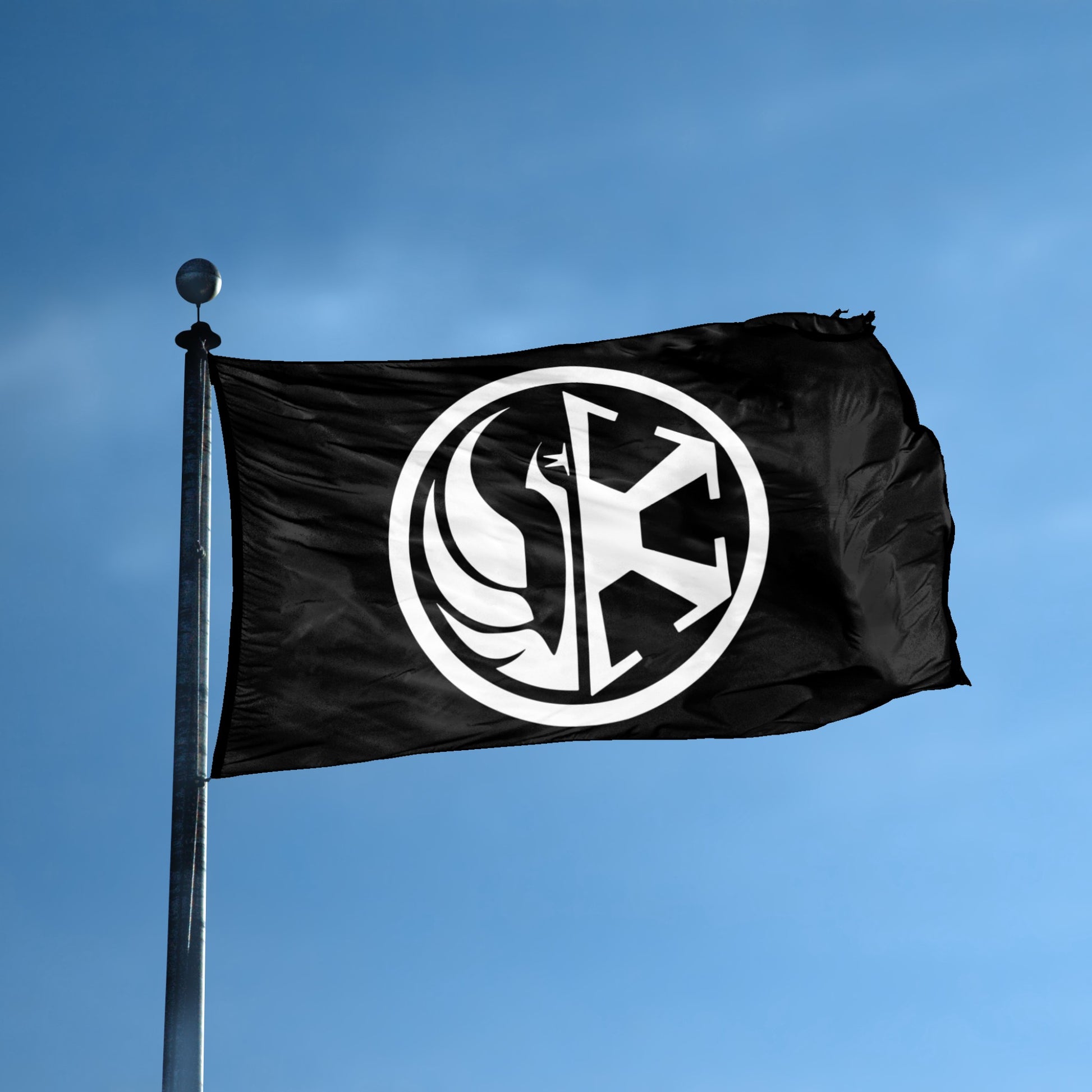 A flag with the theme "Star Wars: The Old Republic Eternal Alliance" displayed on a tall flag pole and blue skies.