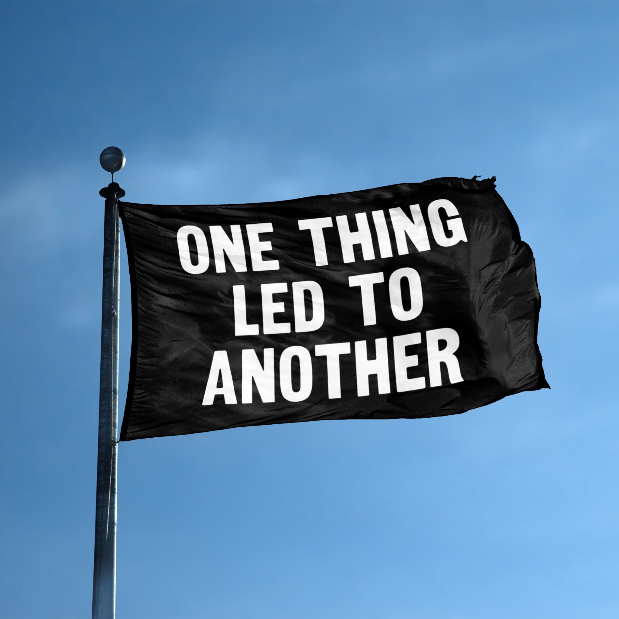 One Thing Led To Another flag displayed outdoors – weatherproof house banner on pole | Bannerfi