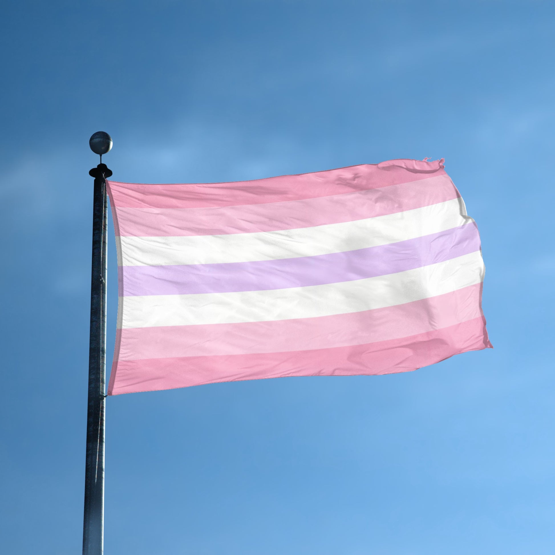 Pomosexual Pride flag displayed outdoors – weatherproof house banner on pole | Bannerfi