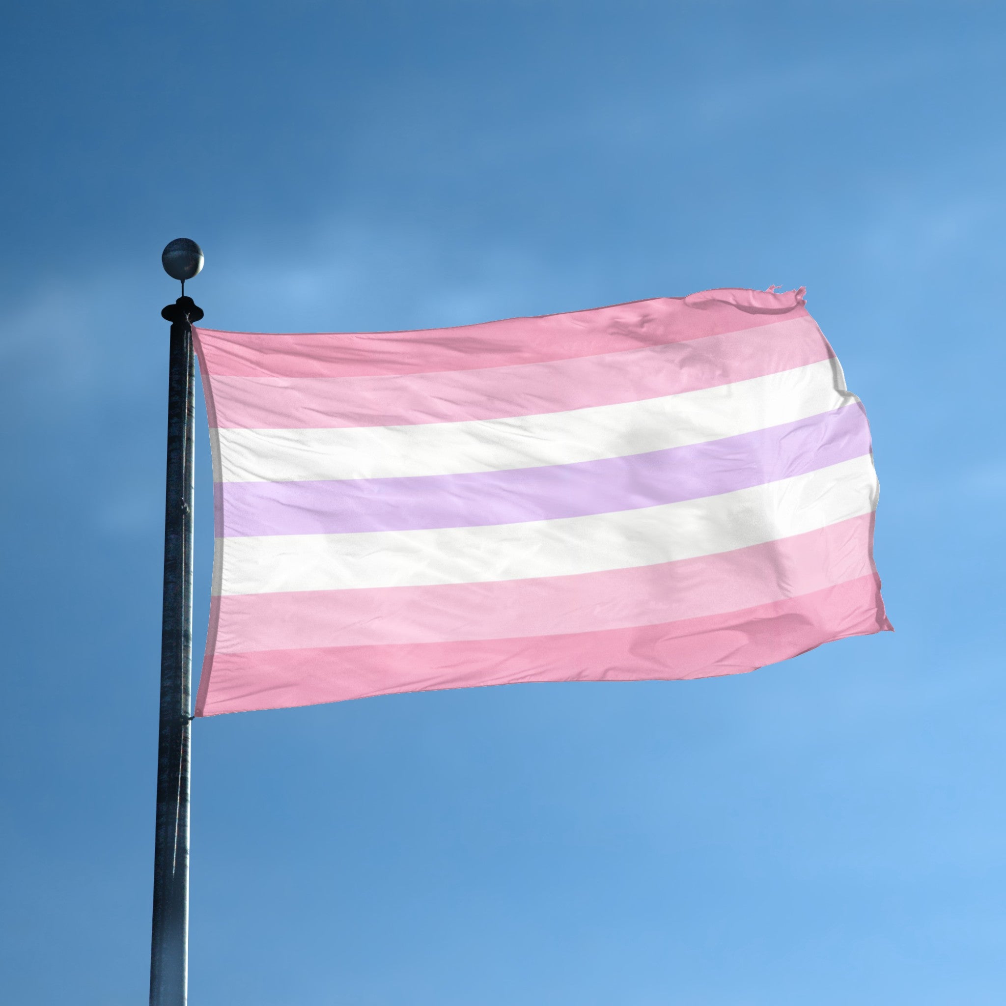 Pomosexual Pride flag displayed outdoors – weatherproof house banner on pole | Bannerfi