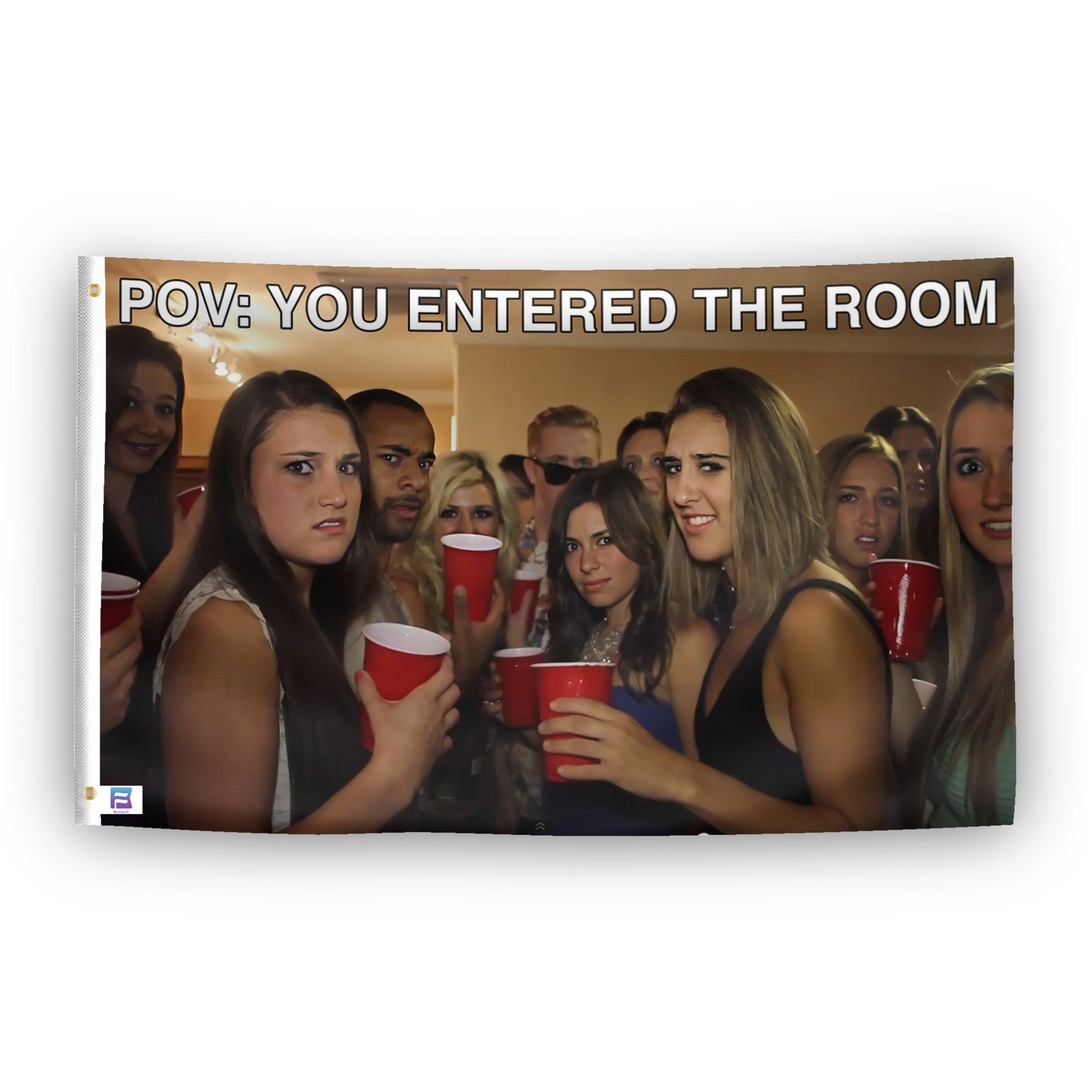 A flag with the theme "POV You Entered The Room Meme", displayed with two brass grommets reinforced with a white canvas header.