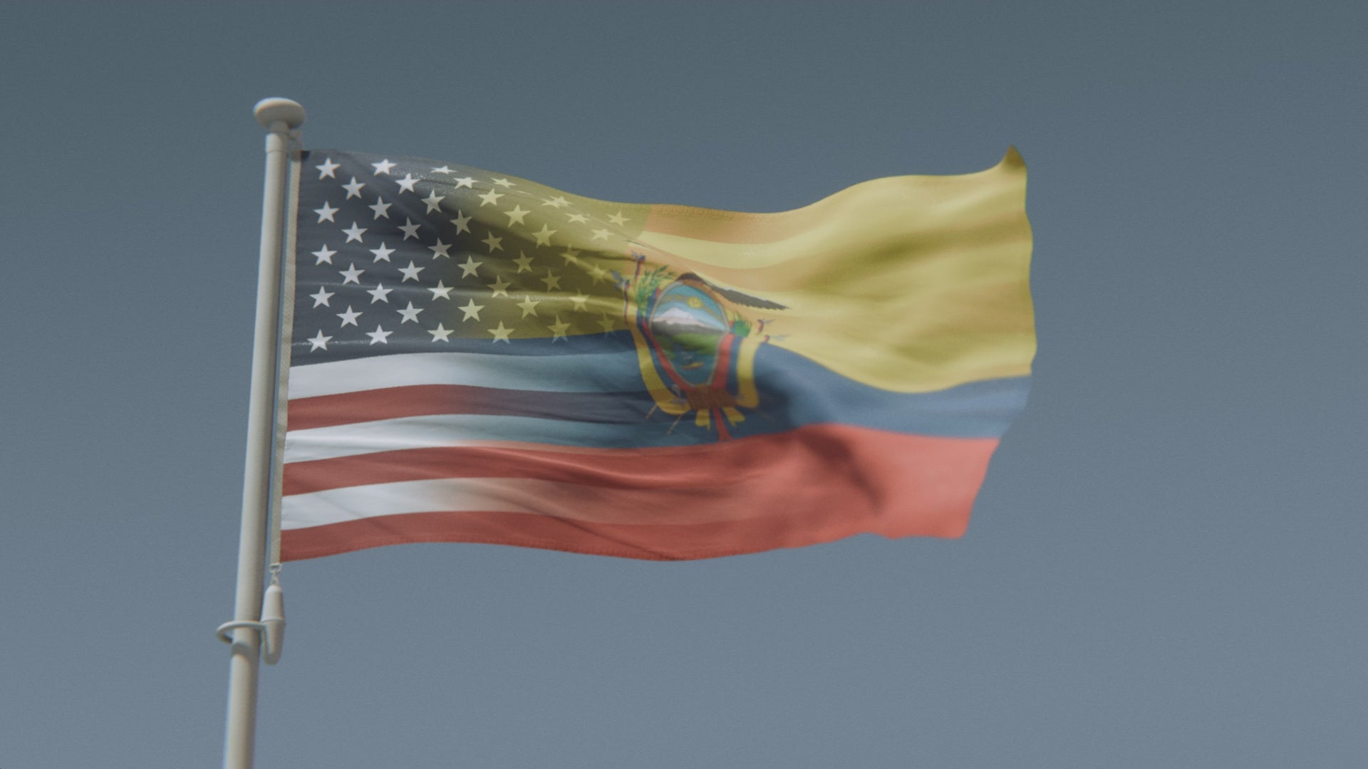 Load video: Ecuadorian American Hybrid Flag