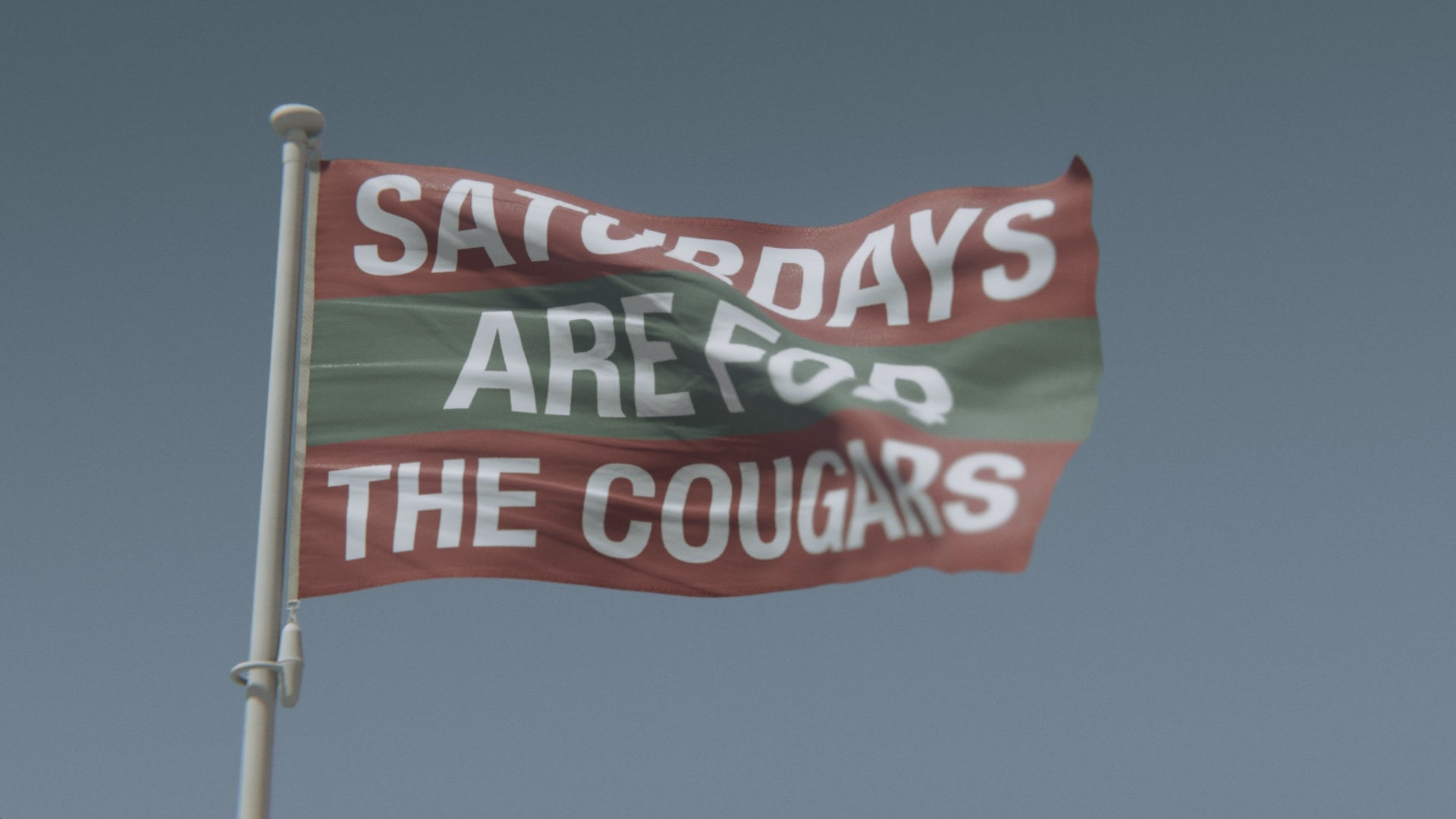 Load video: Saturdays Are for the Cougars Washington State Flag