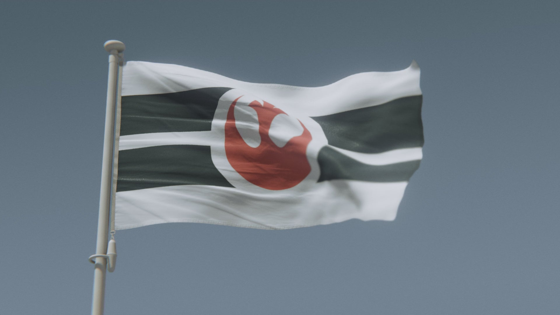 Load video: Star Wars Rebel Alliance Flag