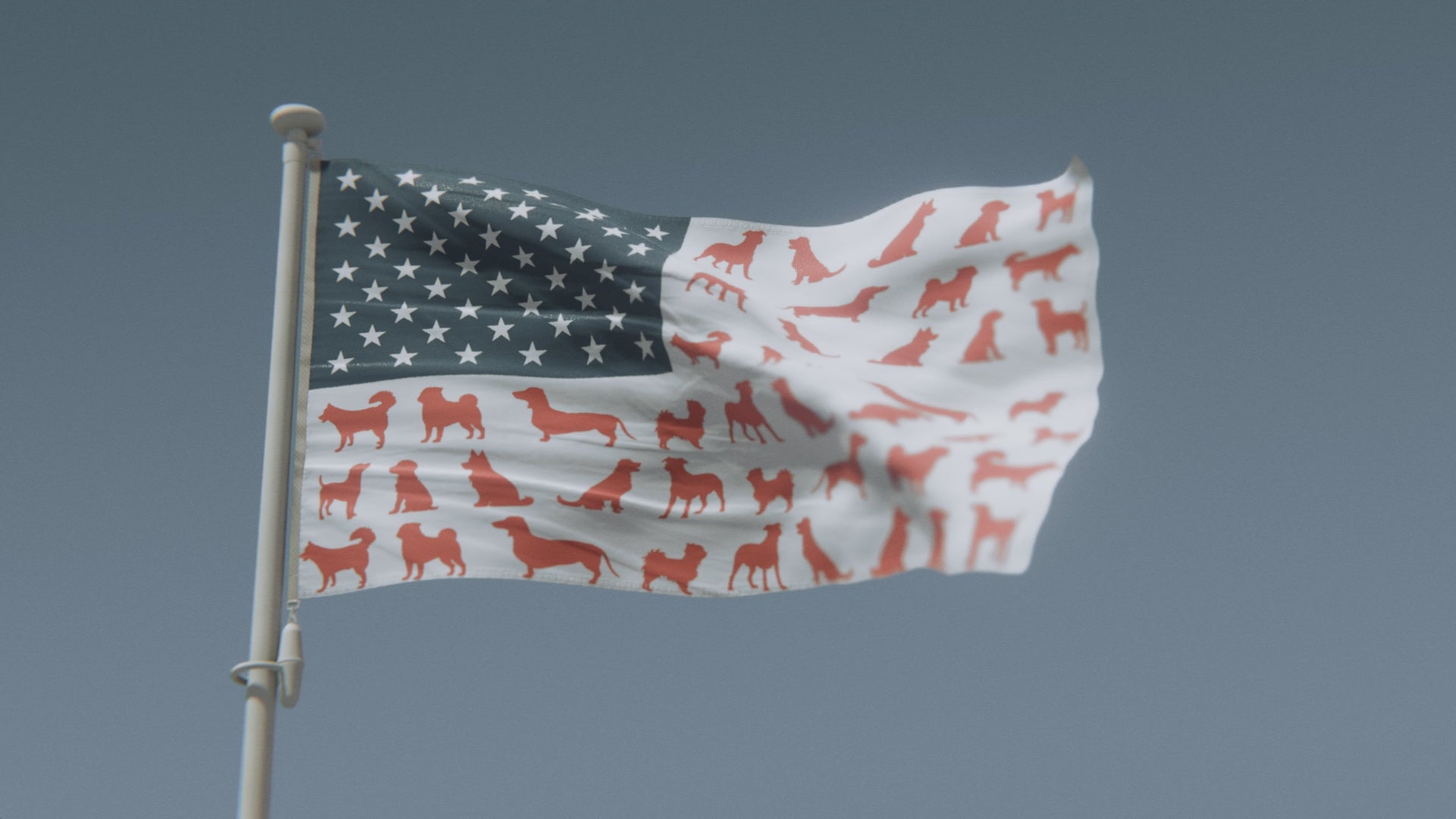 Load video: Dog Stripes American Flag