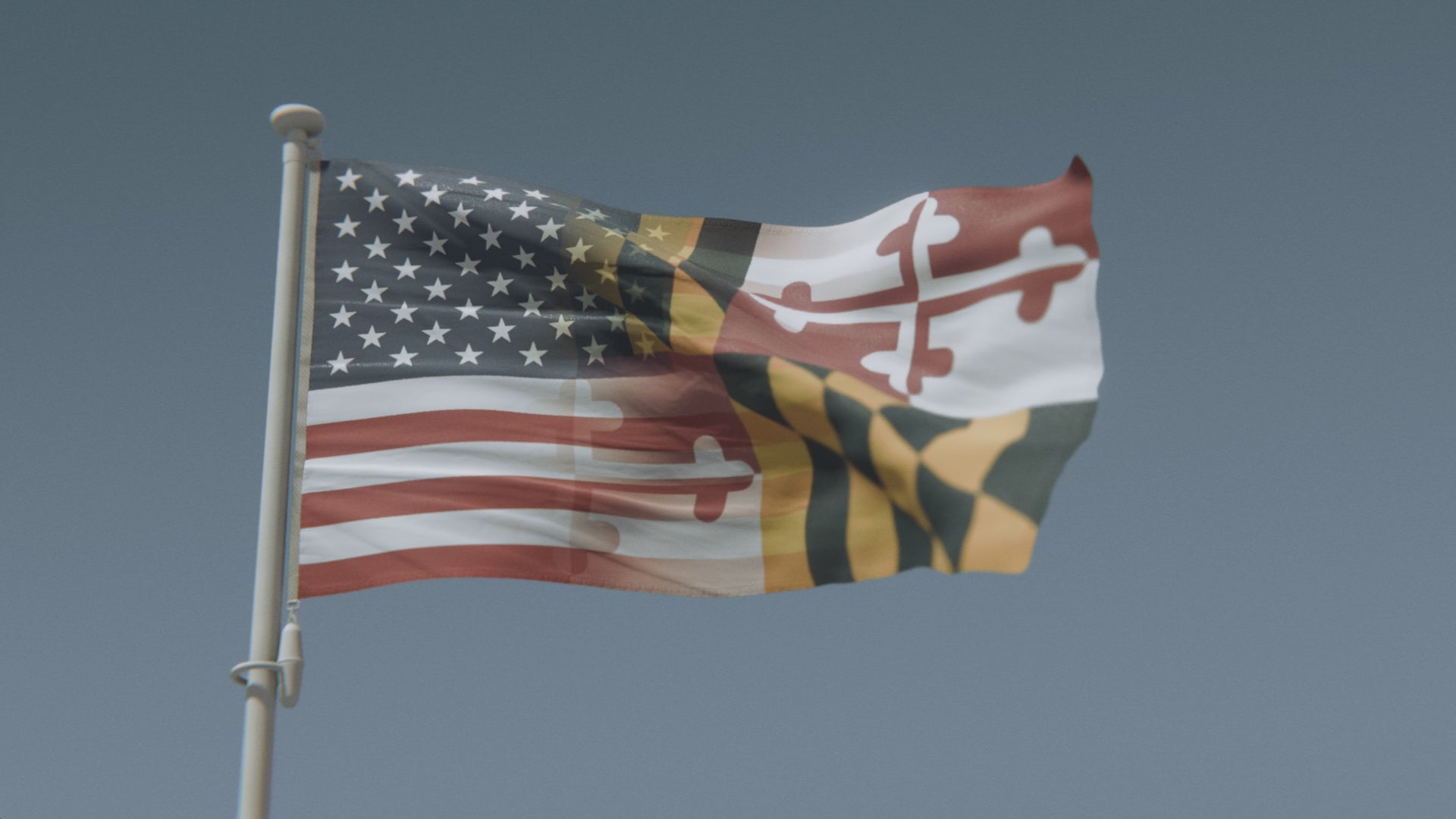 Charger la vidéo : Mélange Maryland et drapeau américain