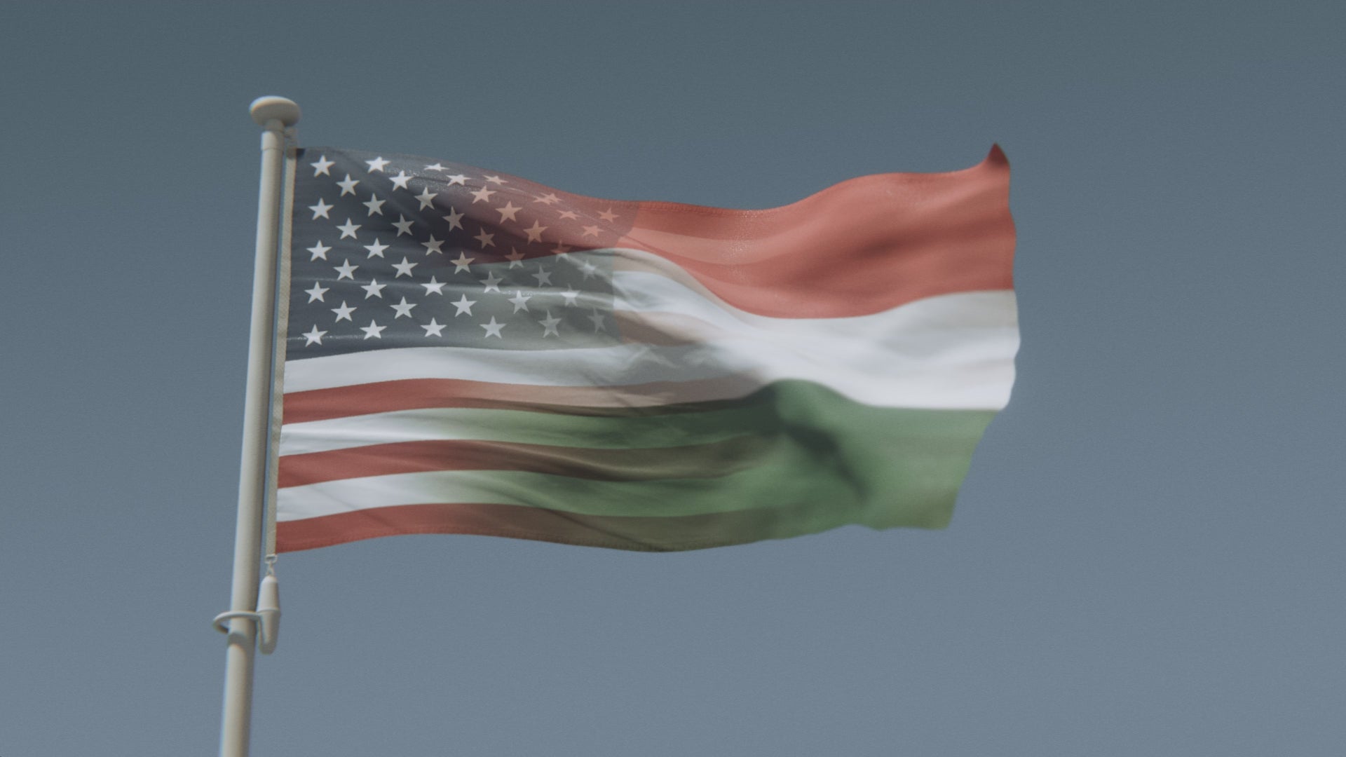 Cargar vídeo: Bandera híbrida húngara-estadounidense