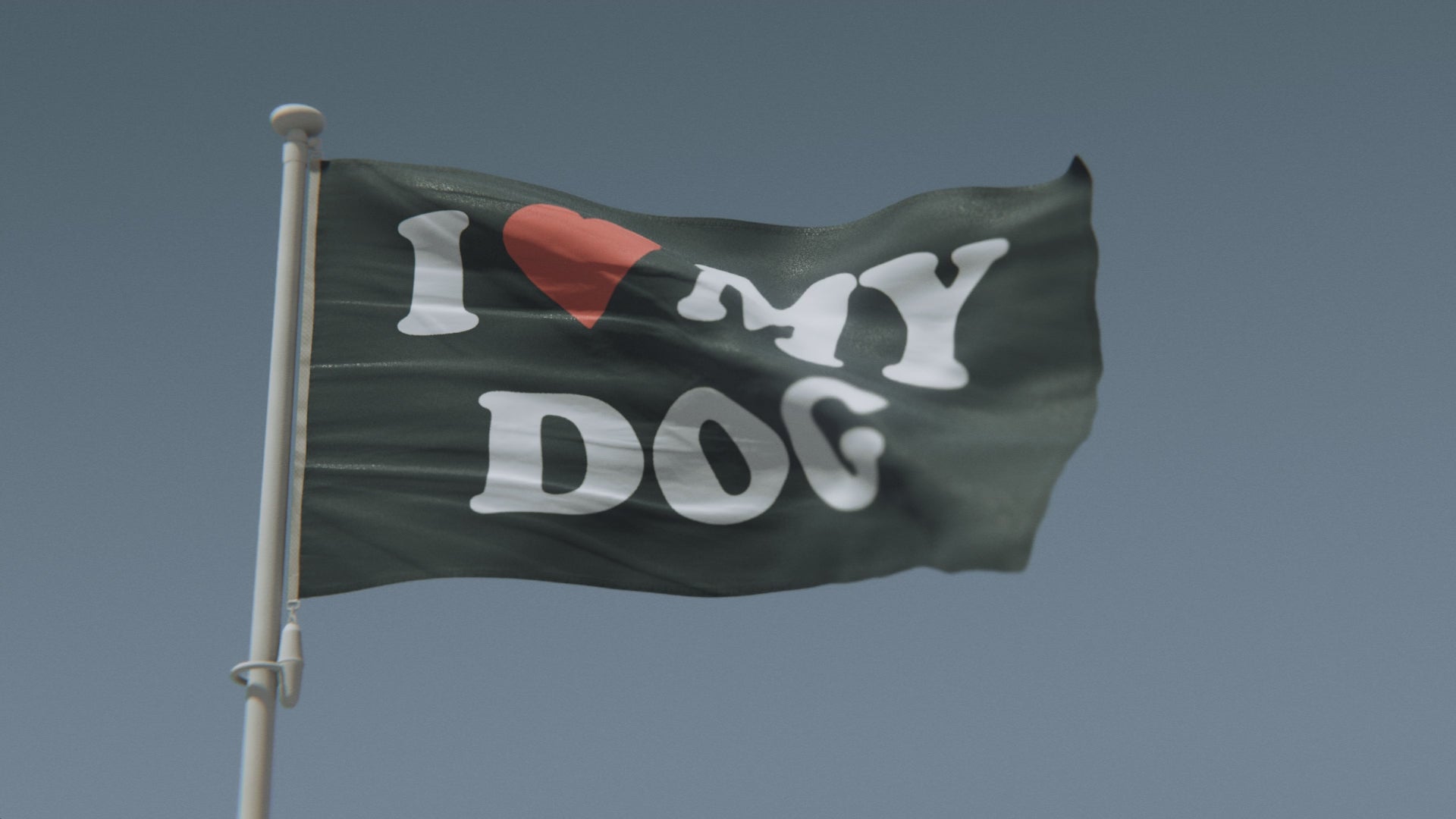 Cargar vídeo: Bandera de Amo a mi perro