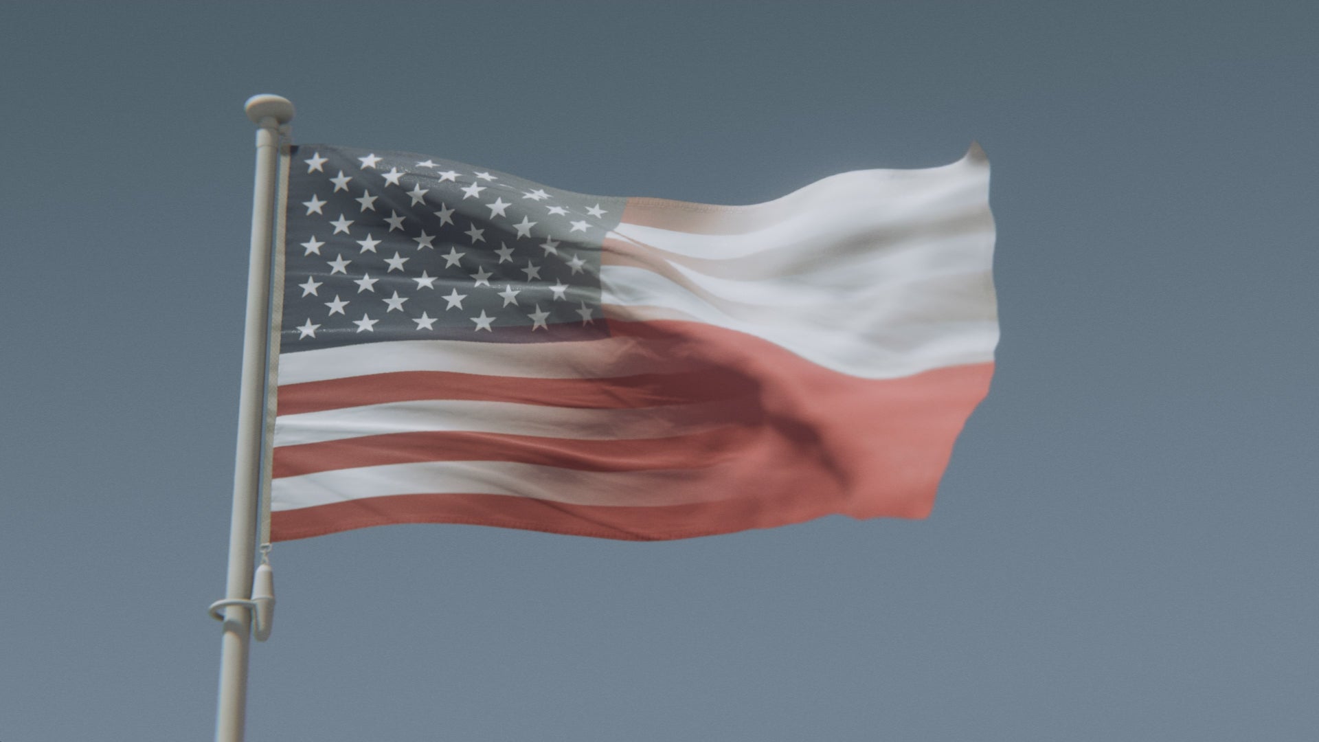 Cargar vídeo: Bandera híbrida polaco-estadounidense