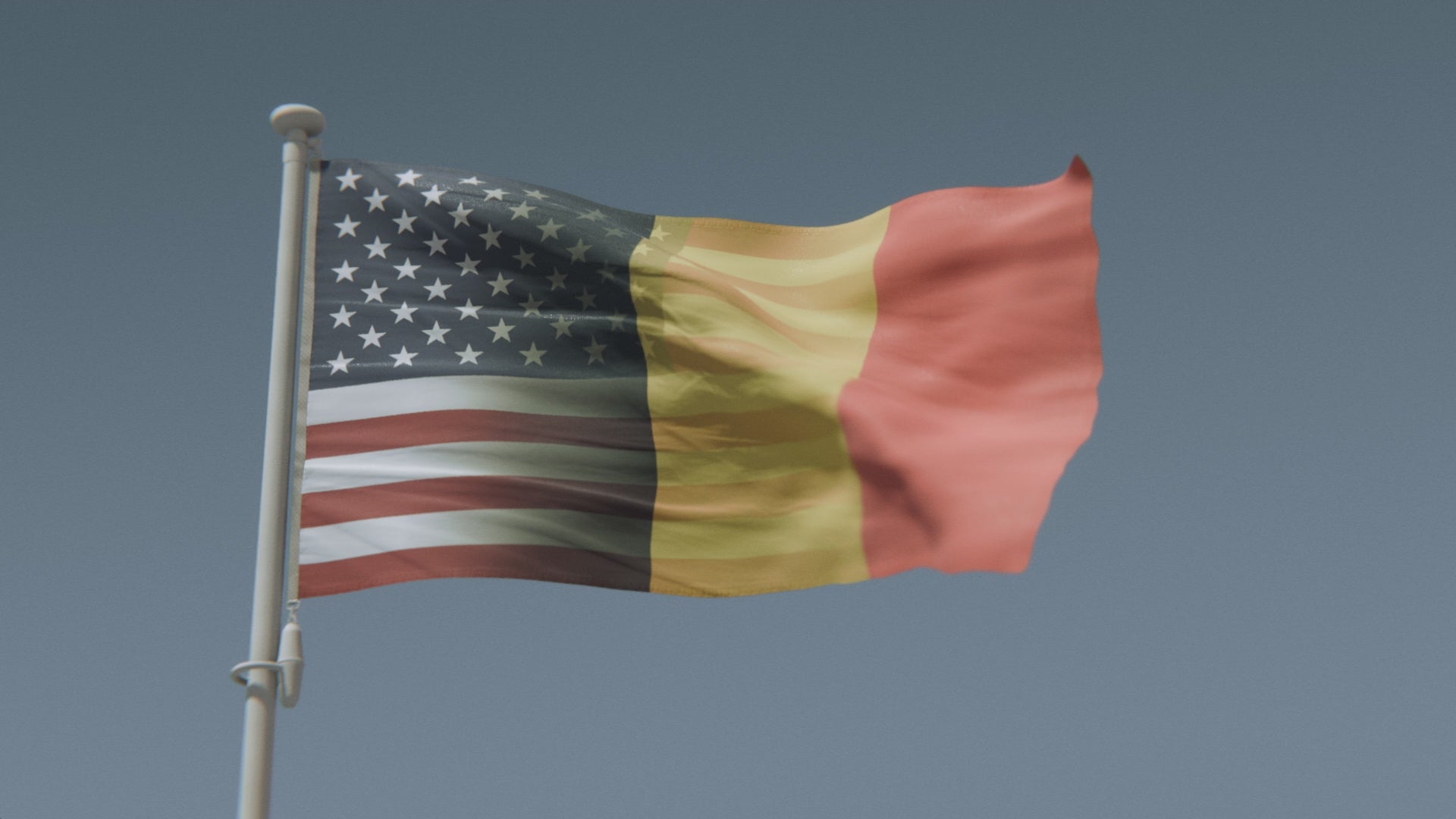 Load video: Belgian American Hybrid Flag