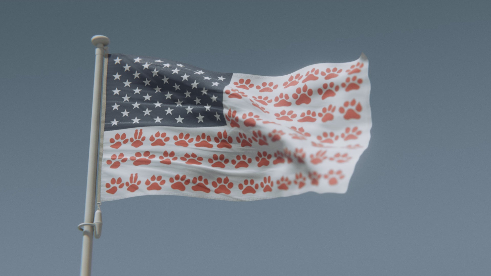 Load video: Paw Prints Stripes American Flag