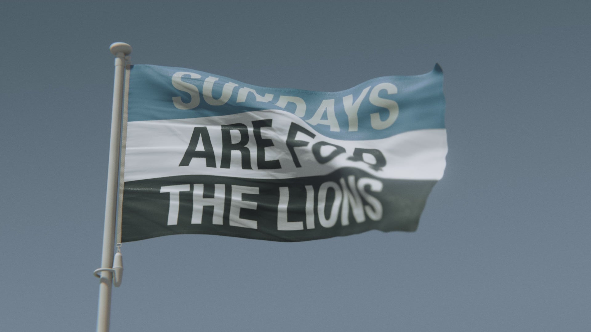 Load video: Sundays Are for the Lions Flag