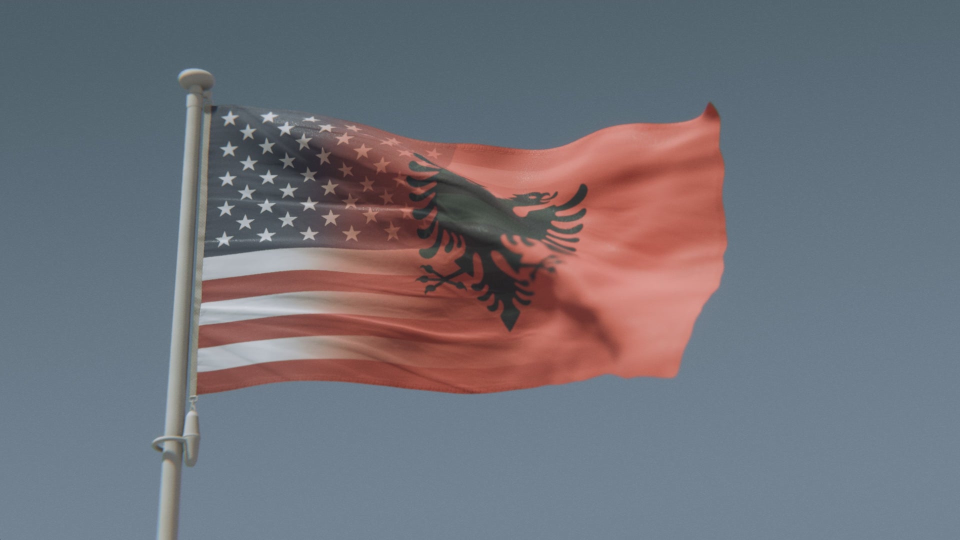 Charger la vidéo : Drapeau hybride albano-américain