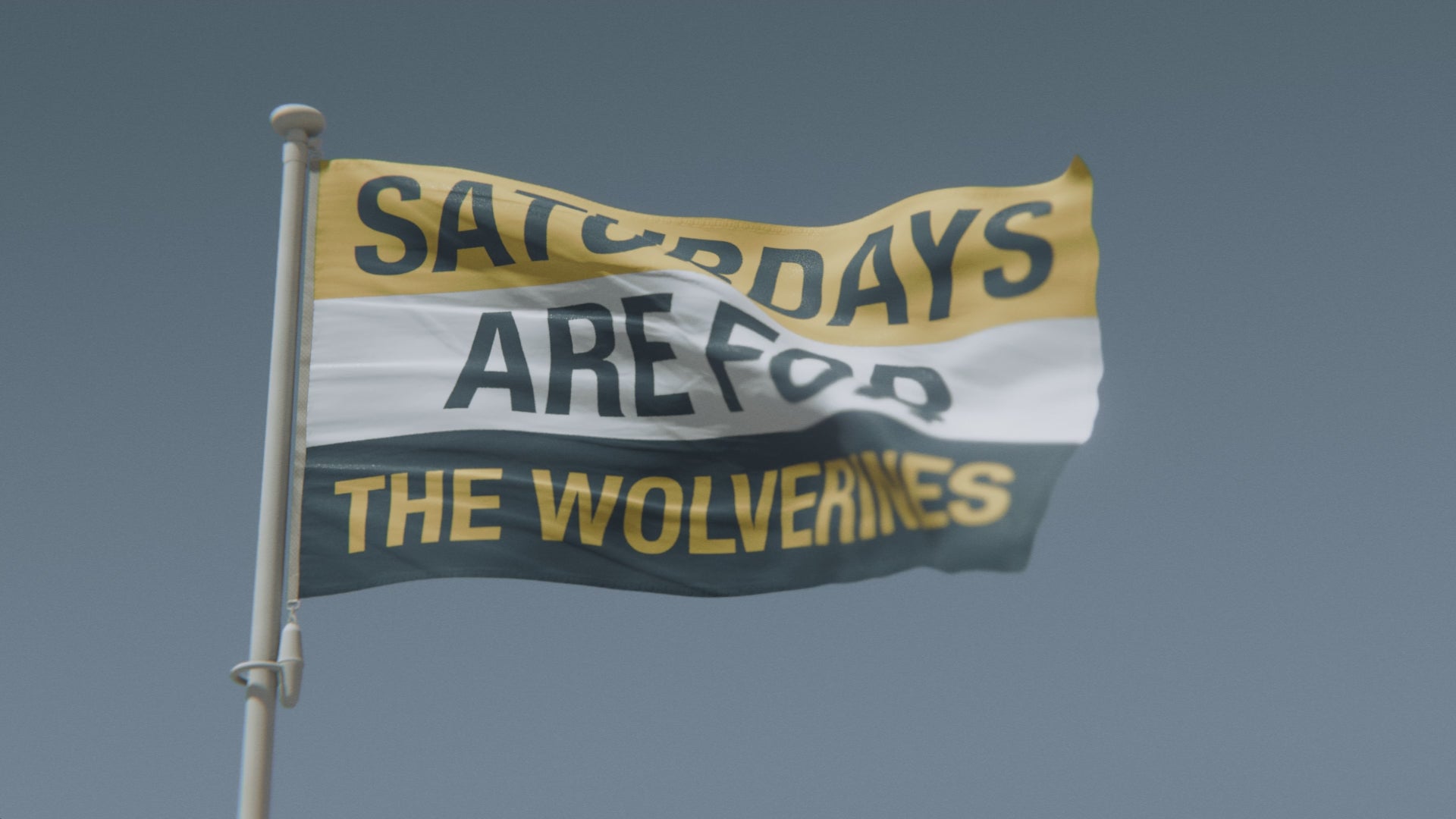Load video: Saturdays Are for the Wolverines Flag