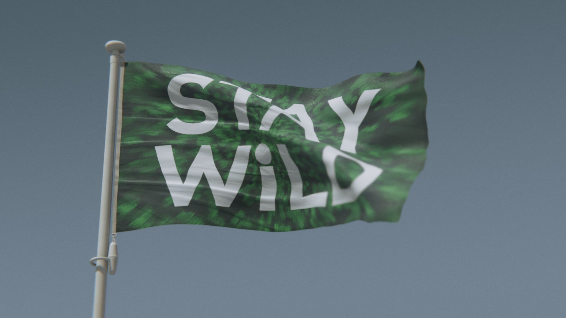 Load video: Stay Wild Flag