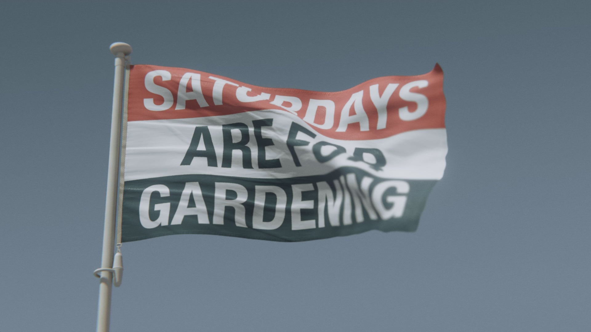 Cargar vídeo: Los sábados son para la jardinería