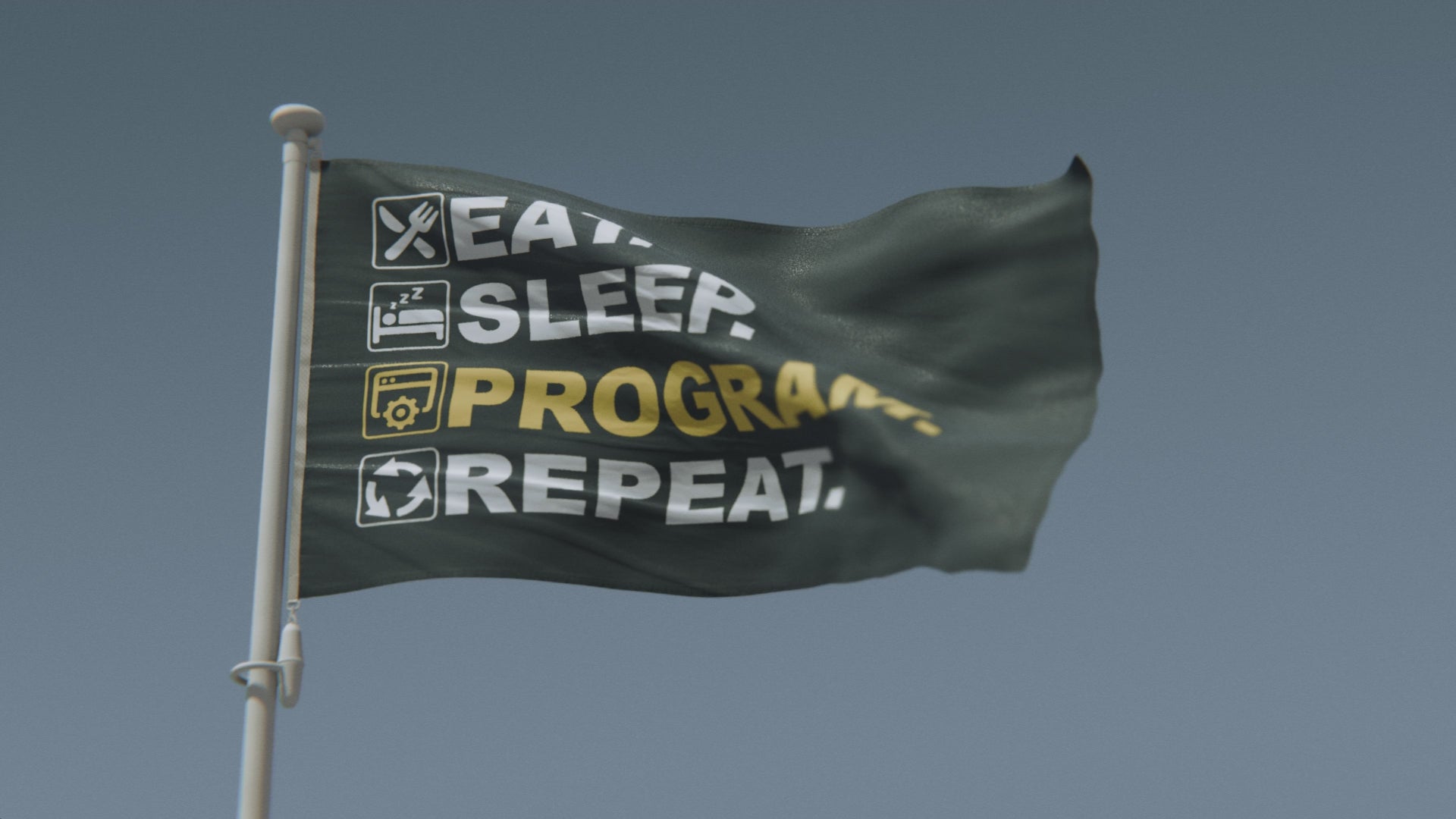 Load video: Eat Sleep Program Repeat Flag