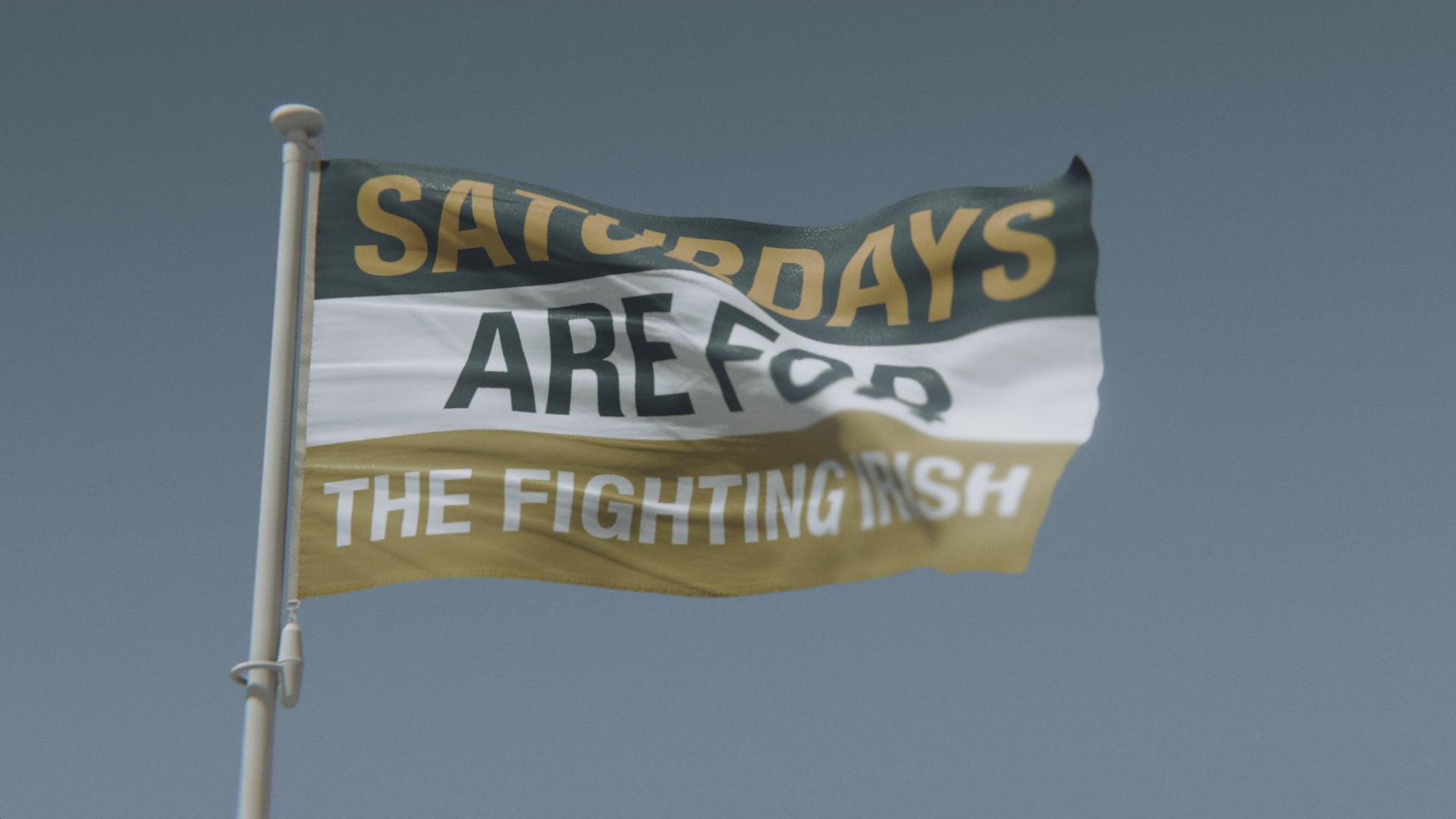 Cargar vídeo: Los sábados son para la bandera irlandesa combatiente