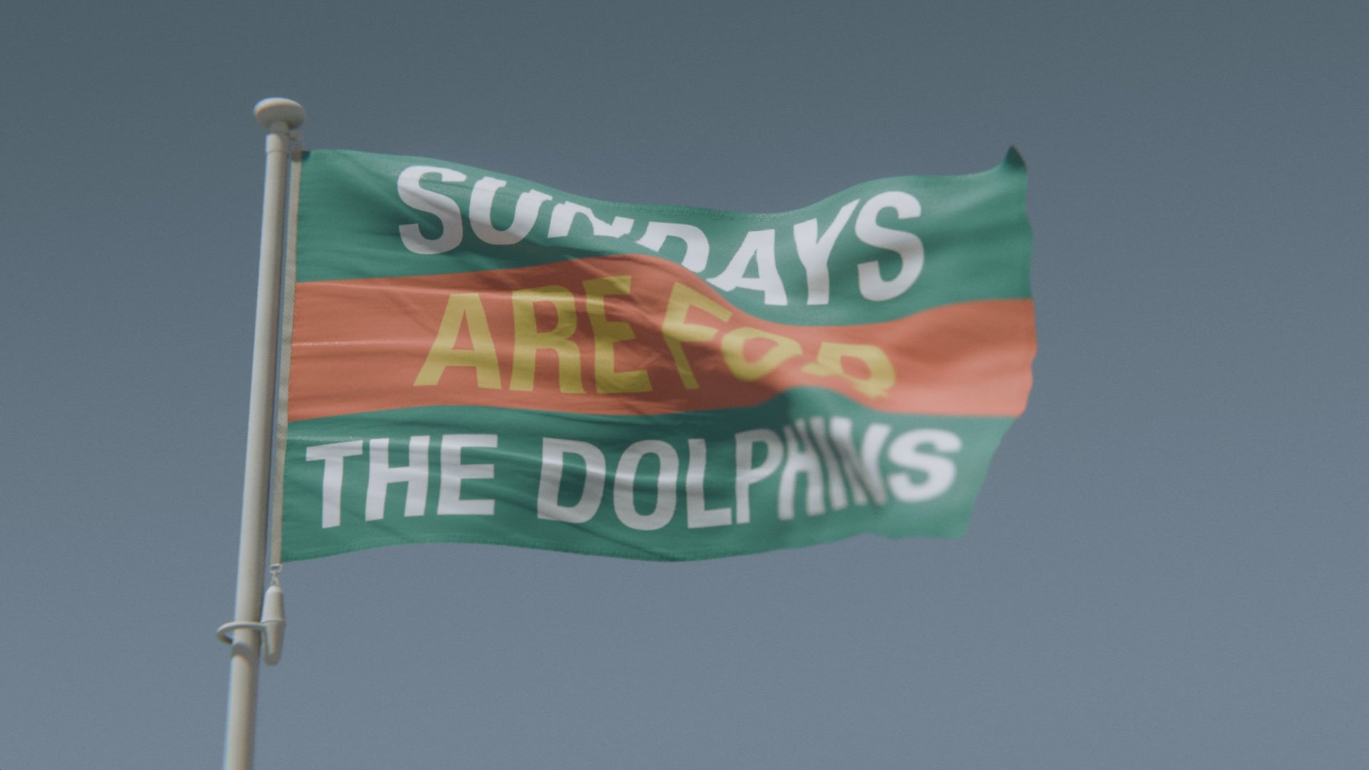 Load video: Sundays Are for the Dolphins Flag