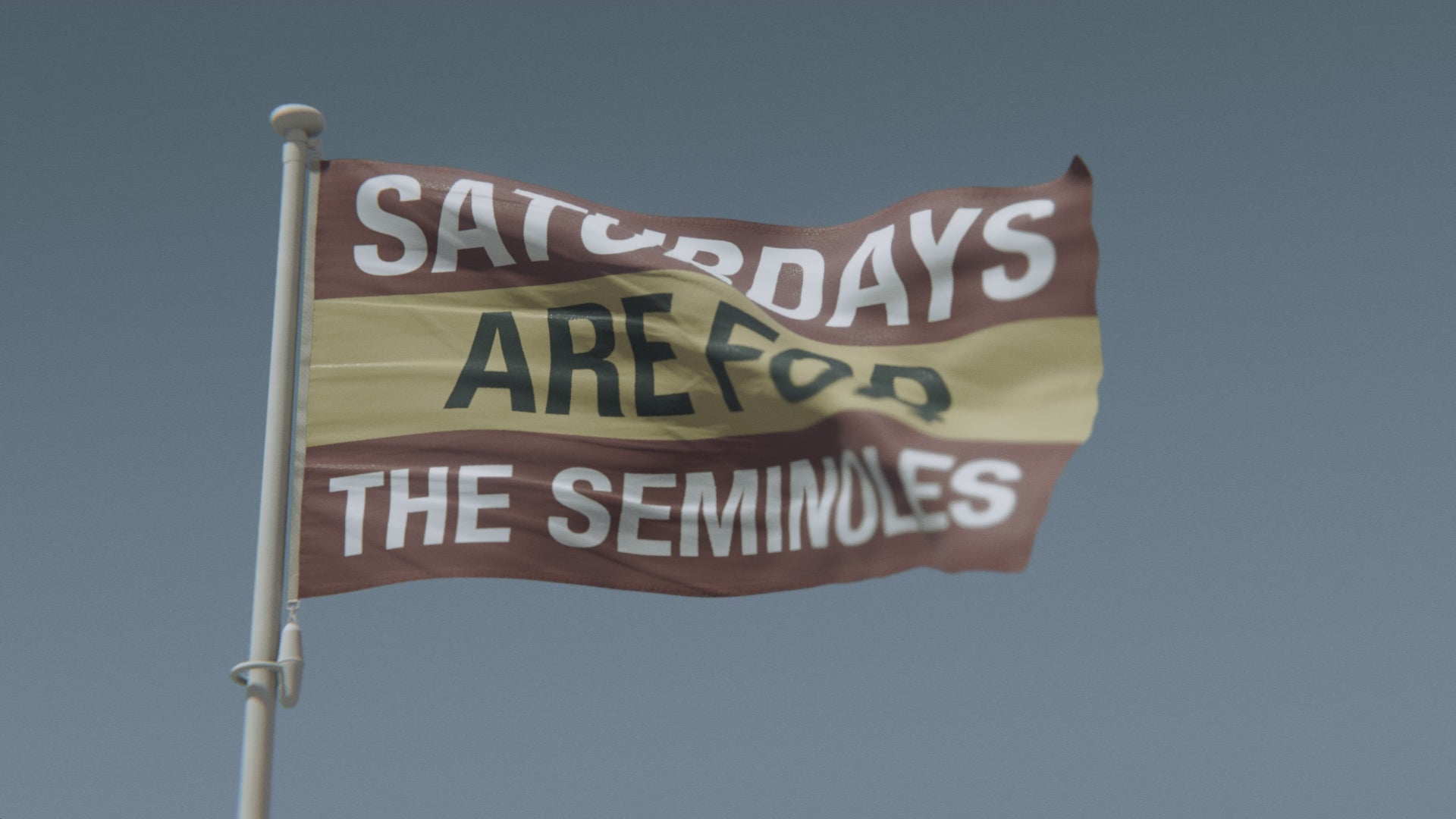Load video: Saturdays Are for the Seminoles Flag