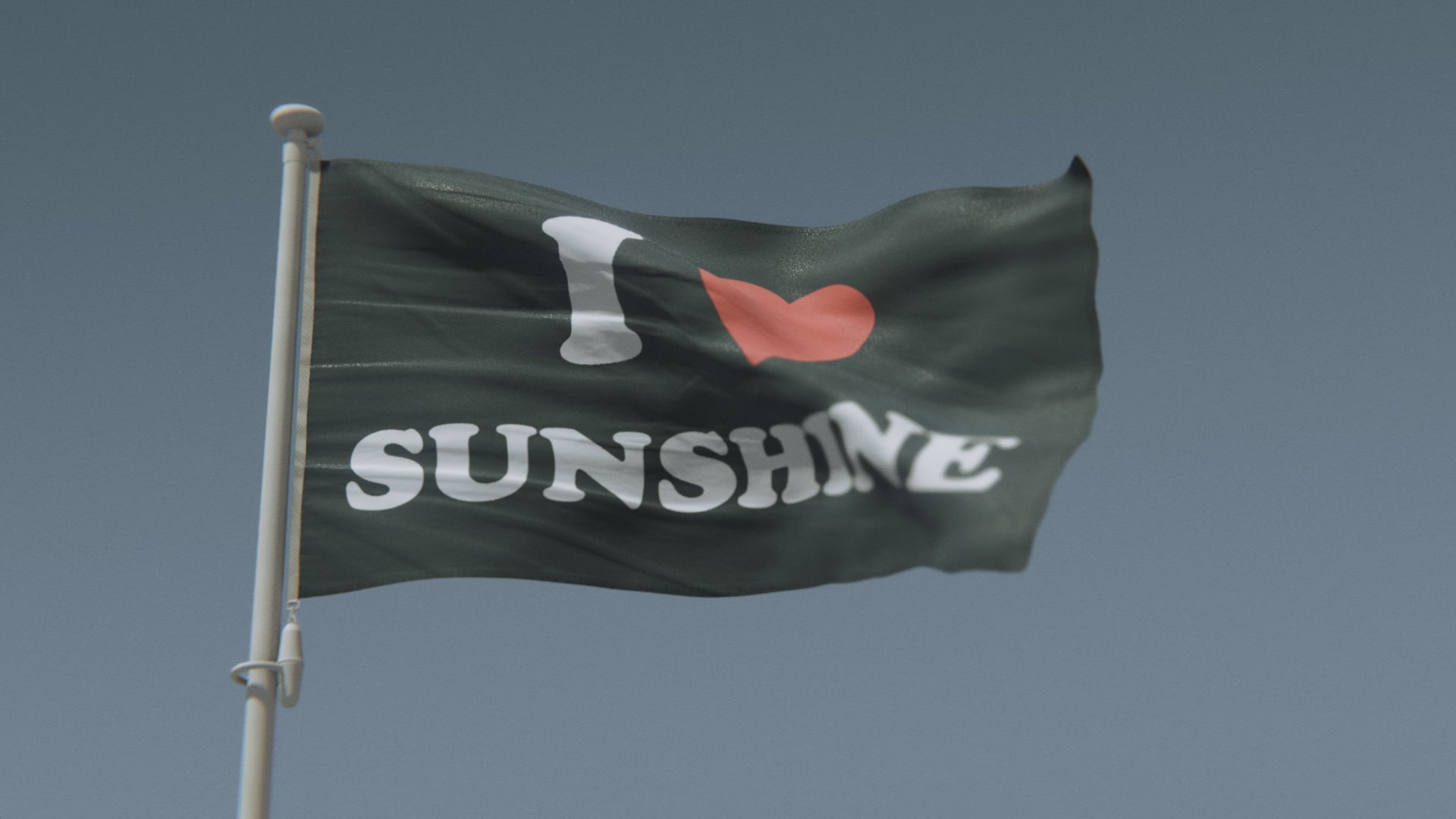 Load video: I Love Sunshine Flag